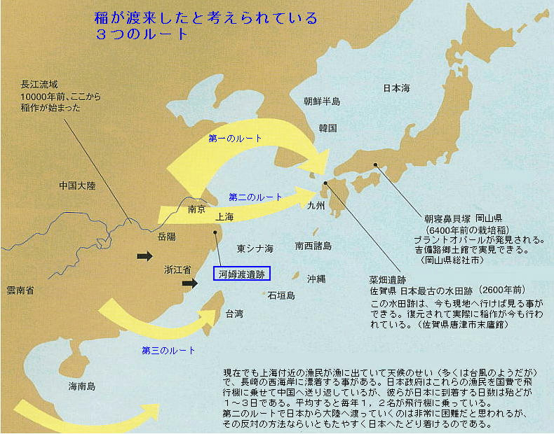 連載中国史3 長江文明｜水埜正彦