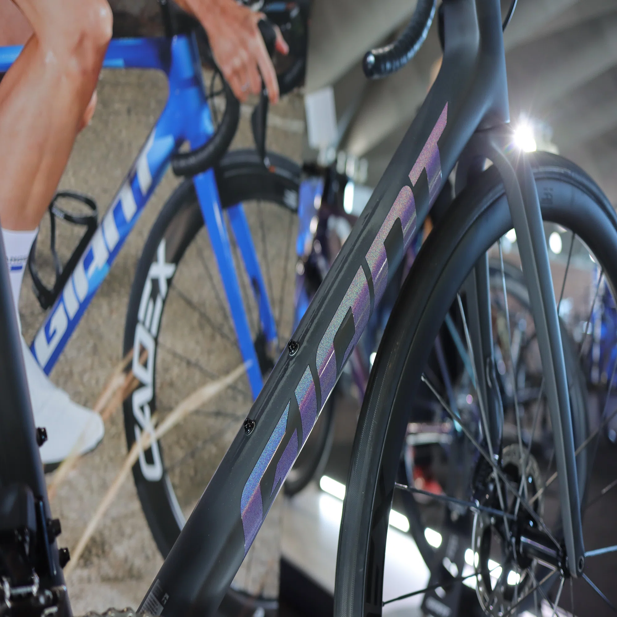 入荷予約特典 現金特価』GIANT 2024年モデル TCR ADVANCED SL 