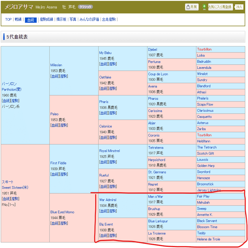 ゴールドシップ　UMAbred　2つ 61c+SkNHlTL.jpg