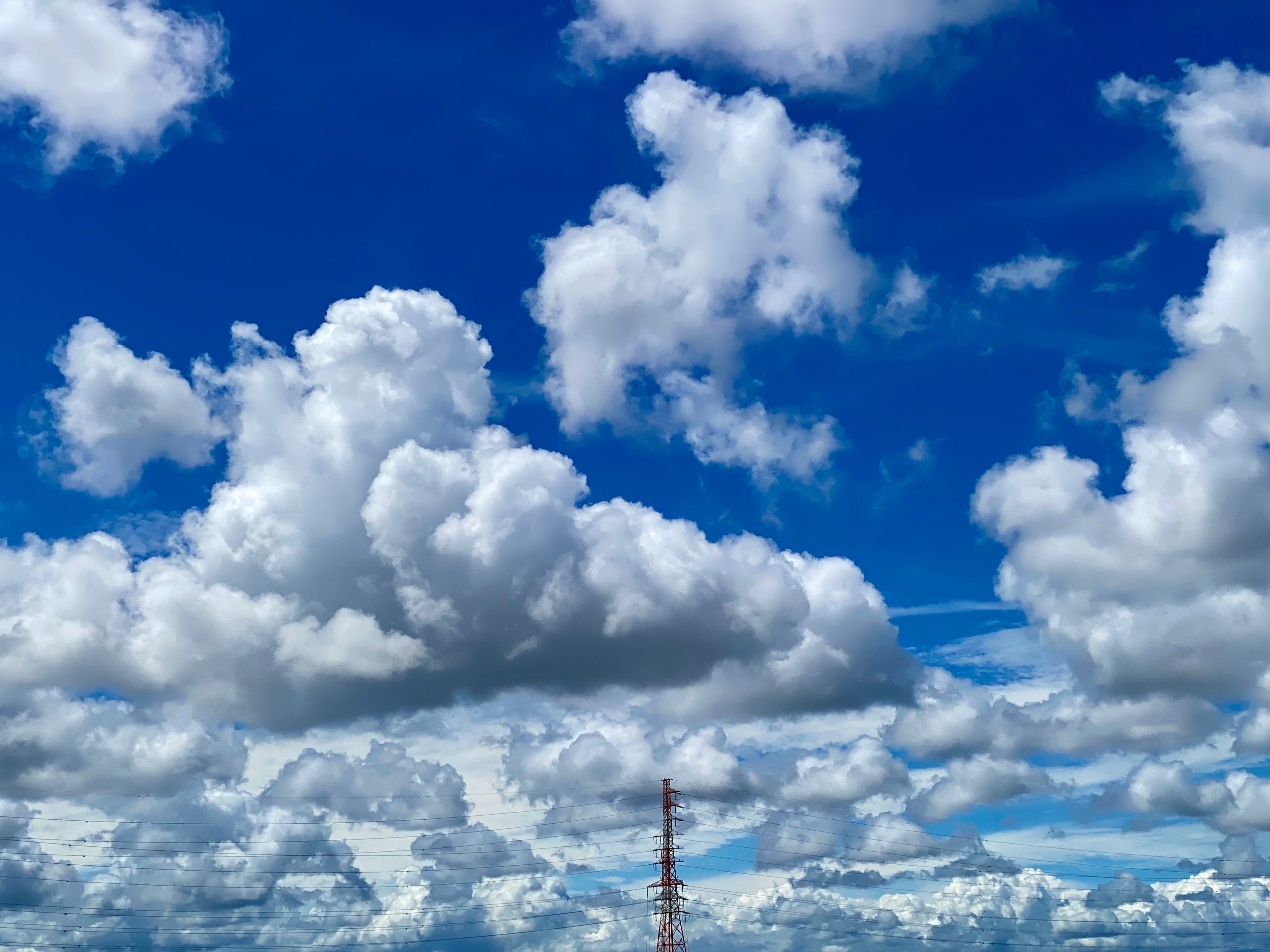 自由研究〜2023年の夏に見た雲たち。｜風街観光社（Shozo Nishioka）