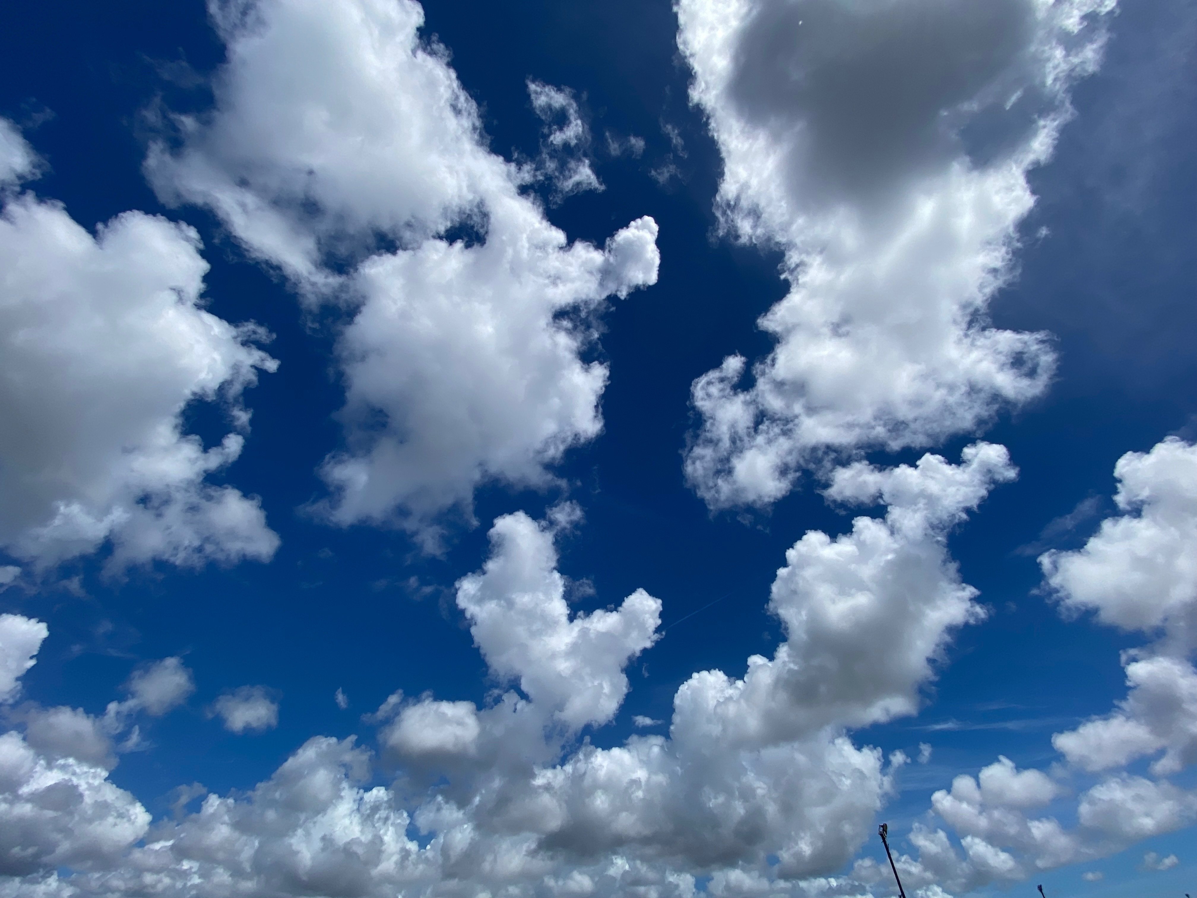 夏の雲 Amazon.co.jp: 夏の雲 : 菅野 修: 本