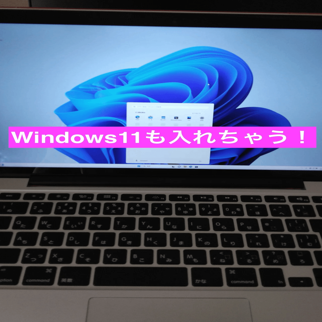 OpenCore Legacy Patcherで最新OSを入れている古いMacにWindows 11も