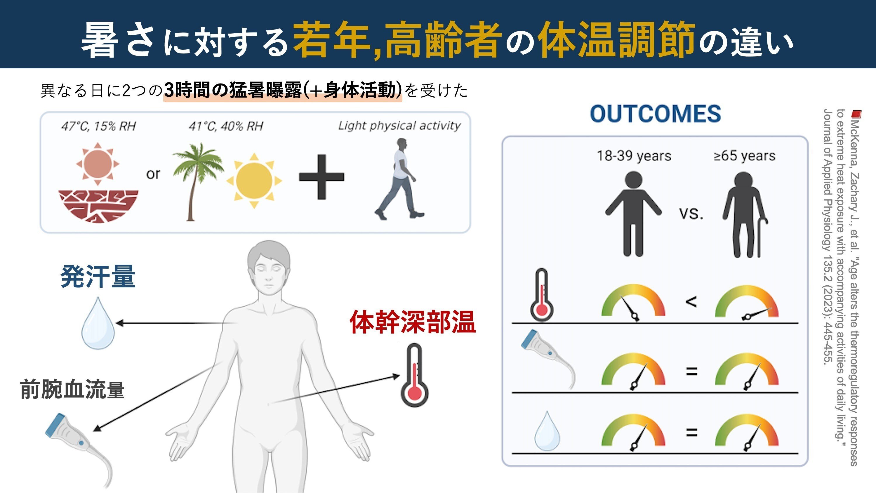 高齢者の体温調節。極端な暑さへの暴露実験｜Super Human | 理学療法士