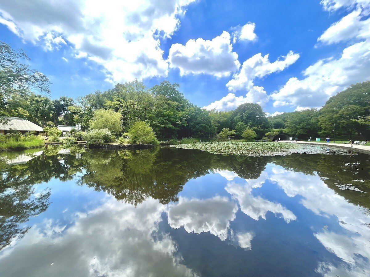 抽象的な自然風景写真 身近な自然の写真｜散歩写真