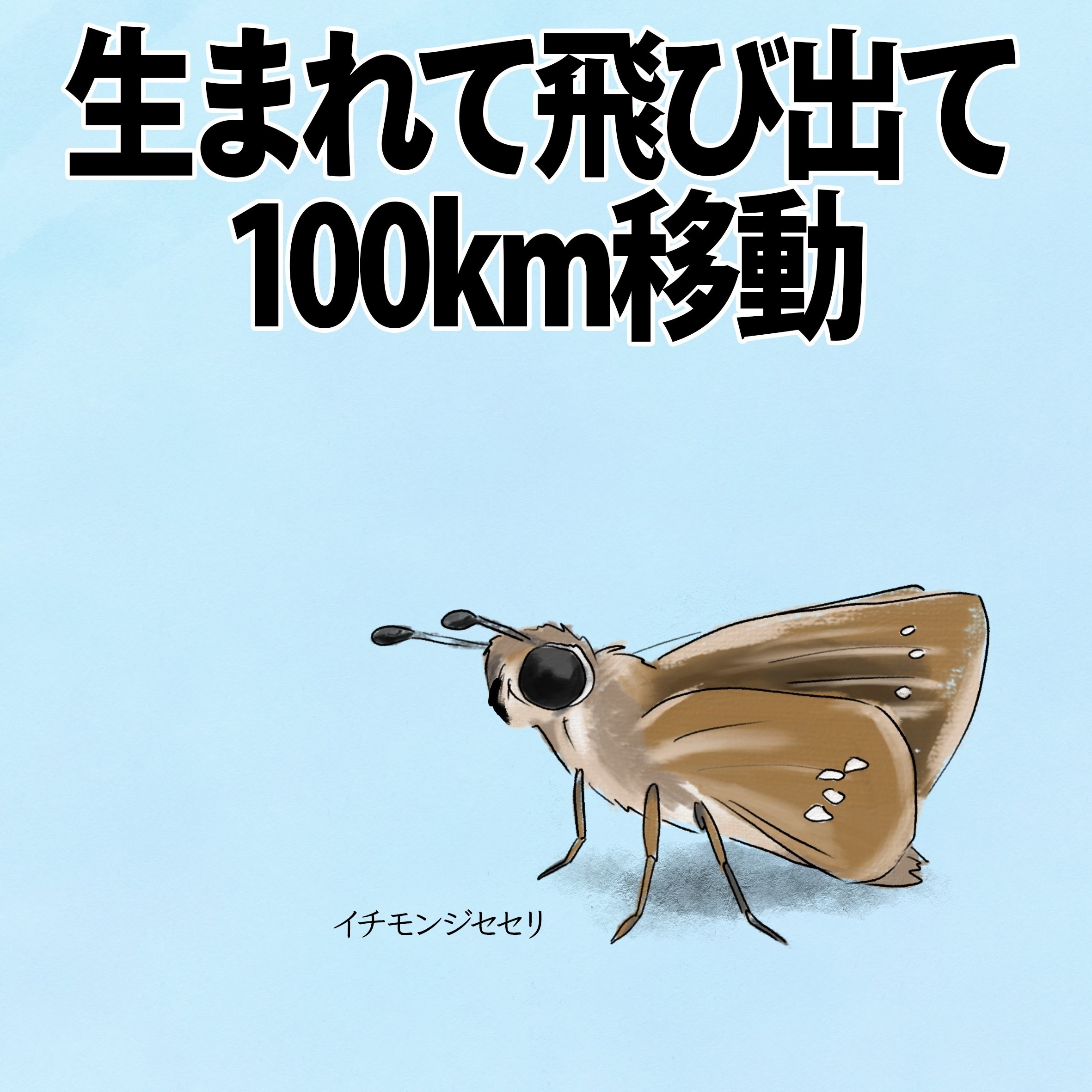 蝶、海へ還る: イチモンジセセリ渡りの謎 ギンイチモンジセセリ 2025 : Lycaenidaeの蝶鳥撮影日記