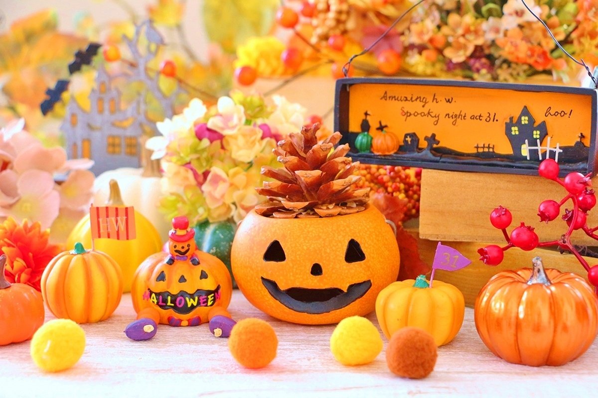 ハロウィンをねこと楽しむ限定クッキー登場！｜泉屋東京店公式note