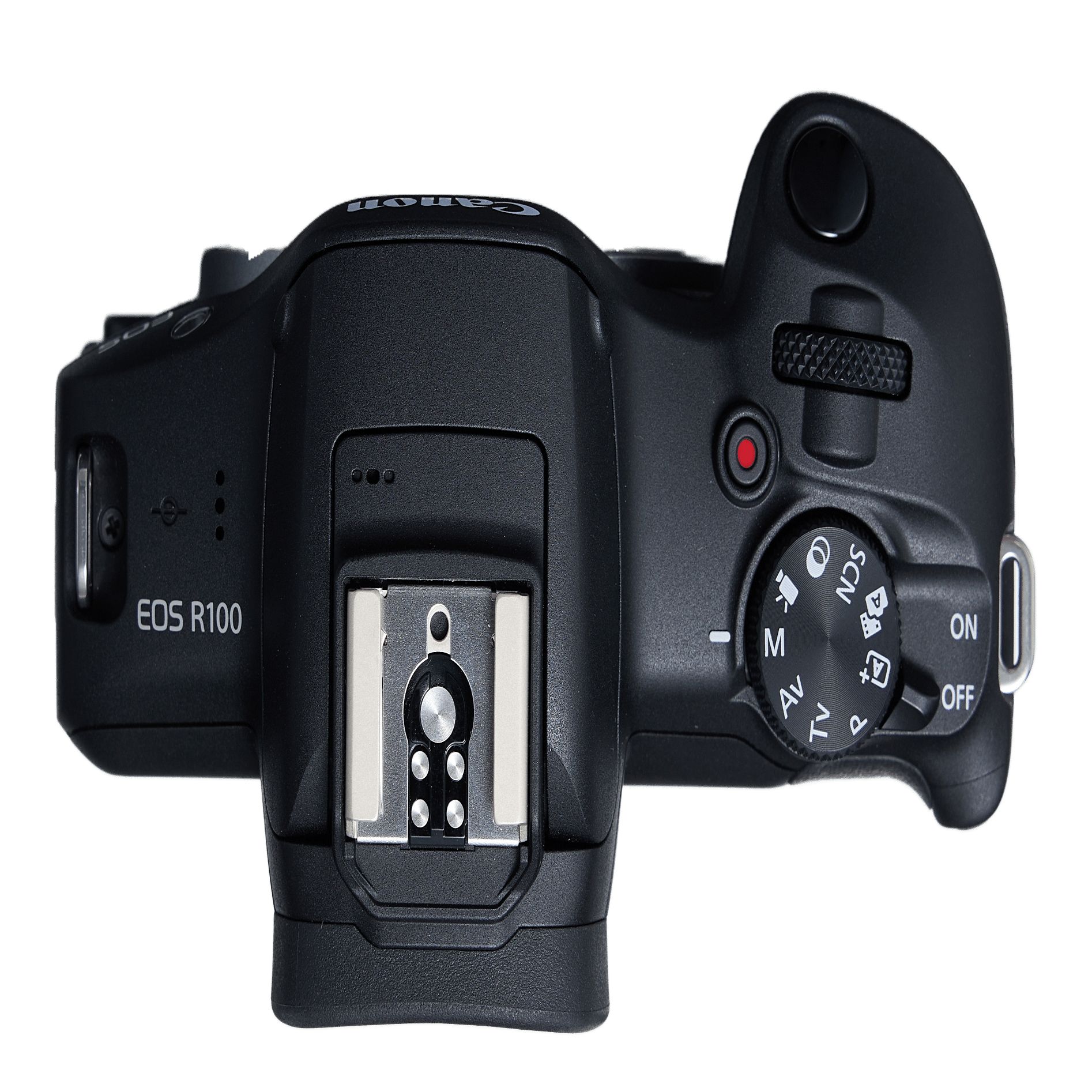 キヤノン EOS R100実写レビュー】写真を身近にするシステムカメラ-EOS