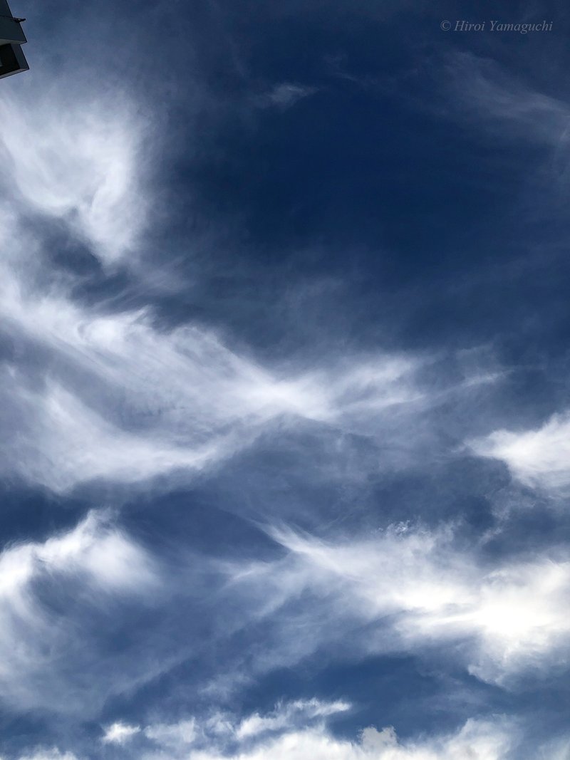 雲の写真です。紺碧の空に、白く何層にもなった雲がいい形を作っています。雲の遊びという感じがします。