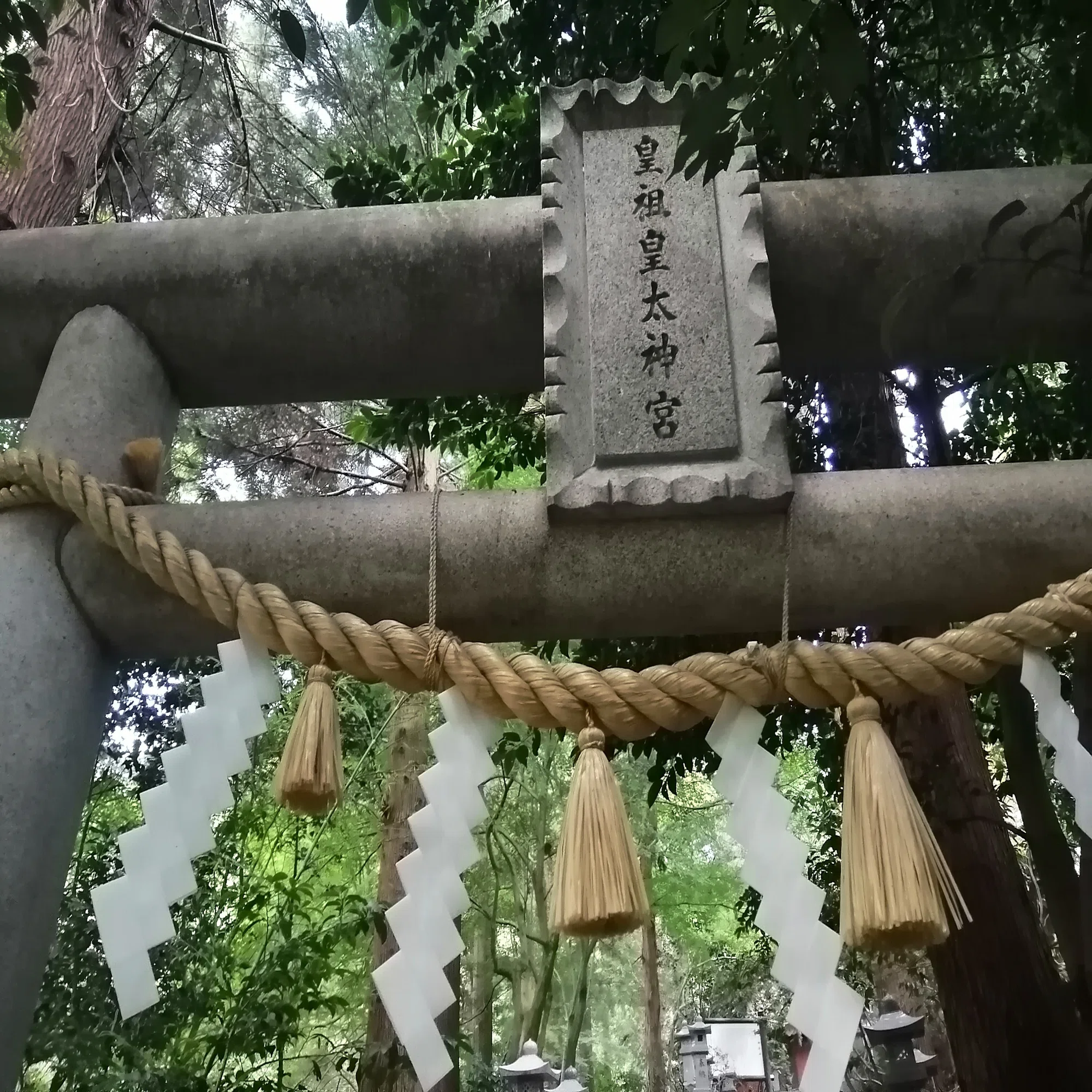 富山・皇祖皇太神宮へ呼ばれて行きました!!｜猫猫日記・やってみるにゃん