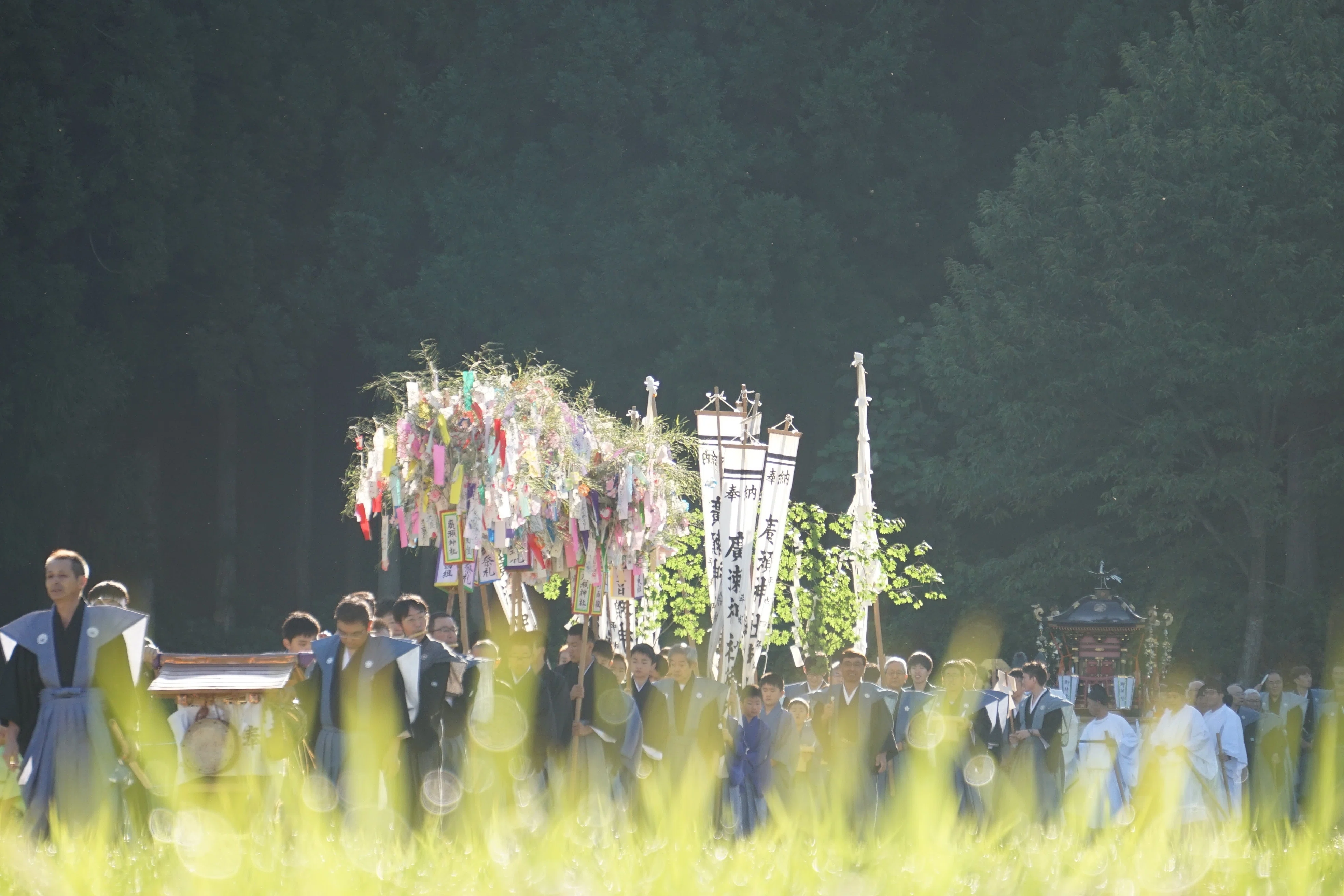 金色の実りの中を行く鮮やかな御神輿渡御祭〜古町のまつり2019①（福島