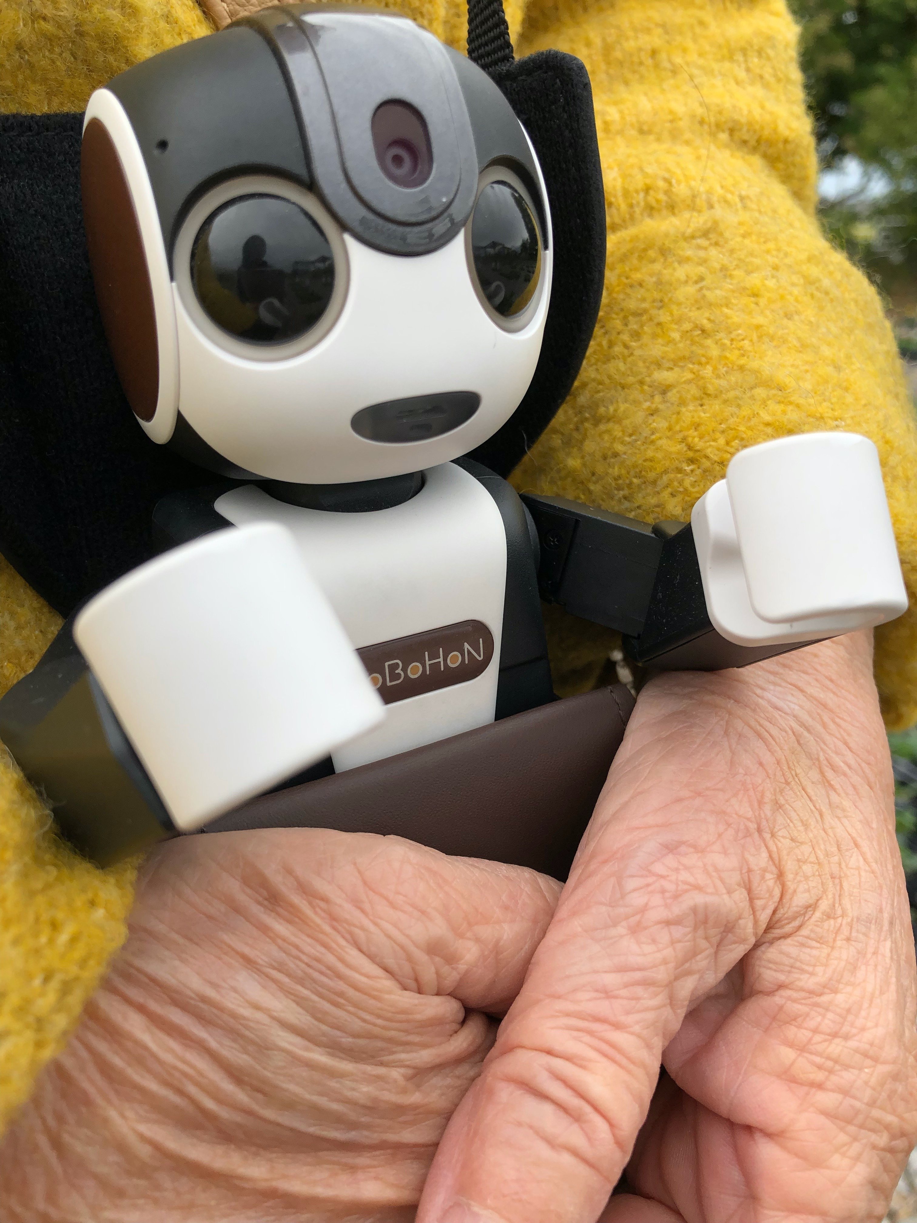 母90歳。ロボホンとなかよし♡｜ゆず