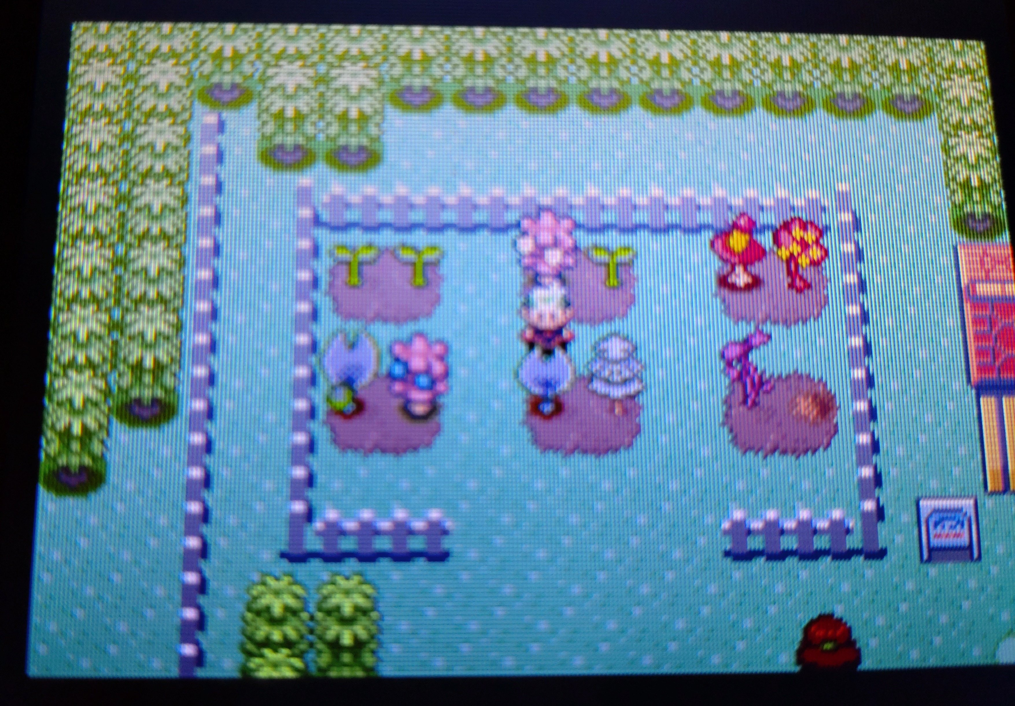 ポケモンEm] 三世代環境を整えたい③ 目標設定と簡易環境作成｜がみ