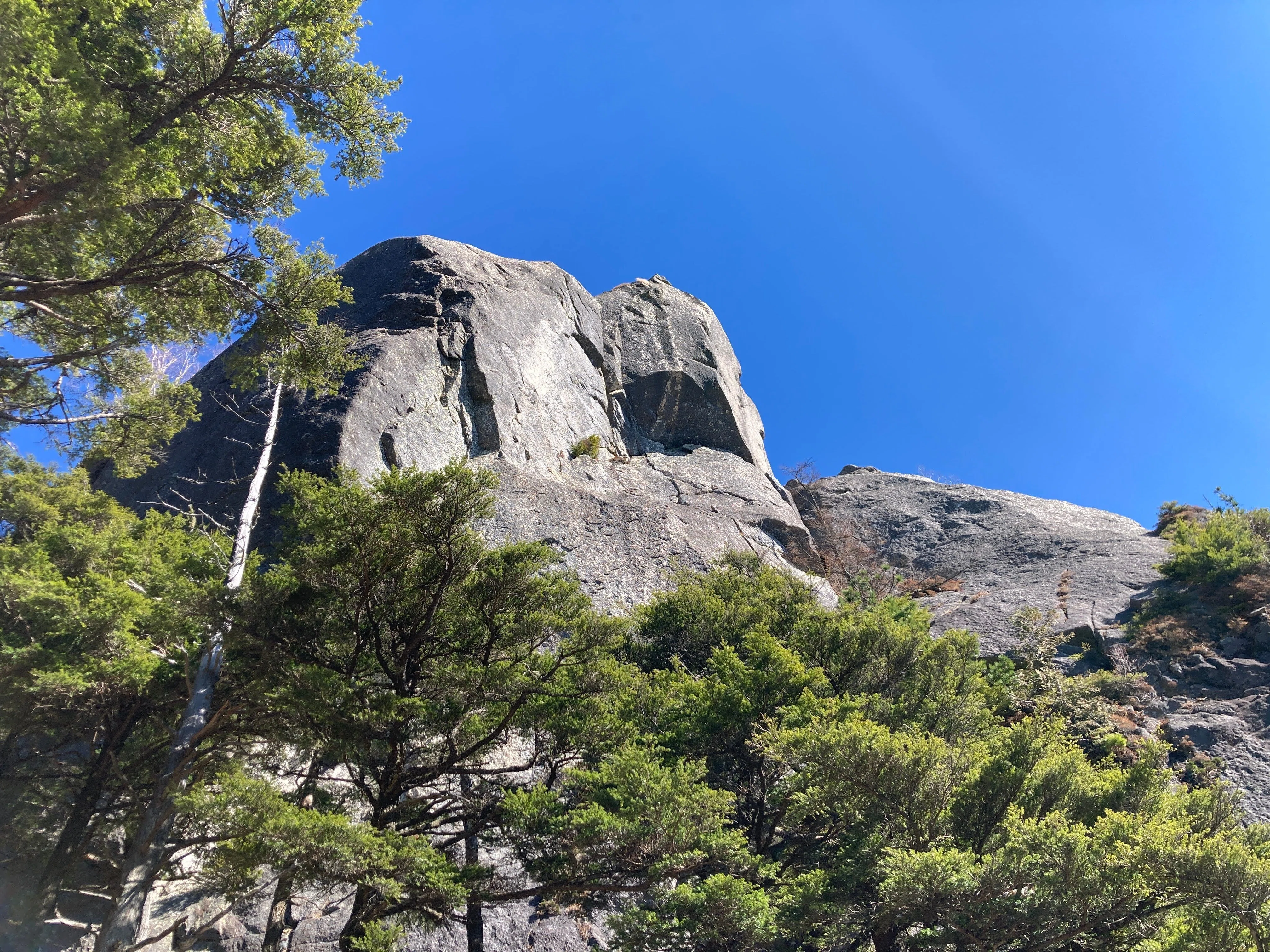 It's a mountain like Godzilla. A record of climbing Mt. Mizugaki