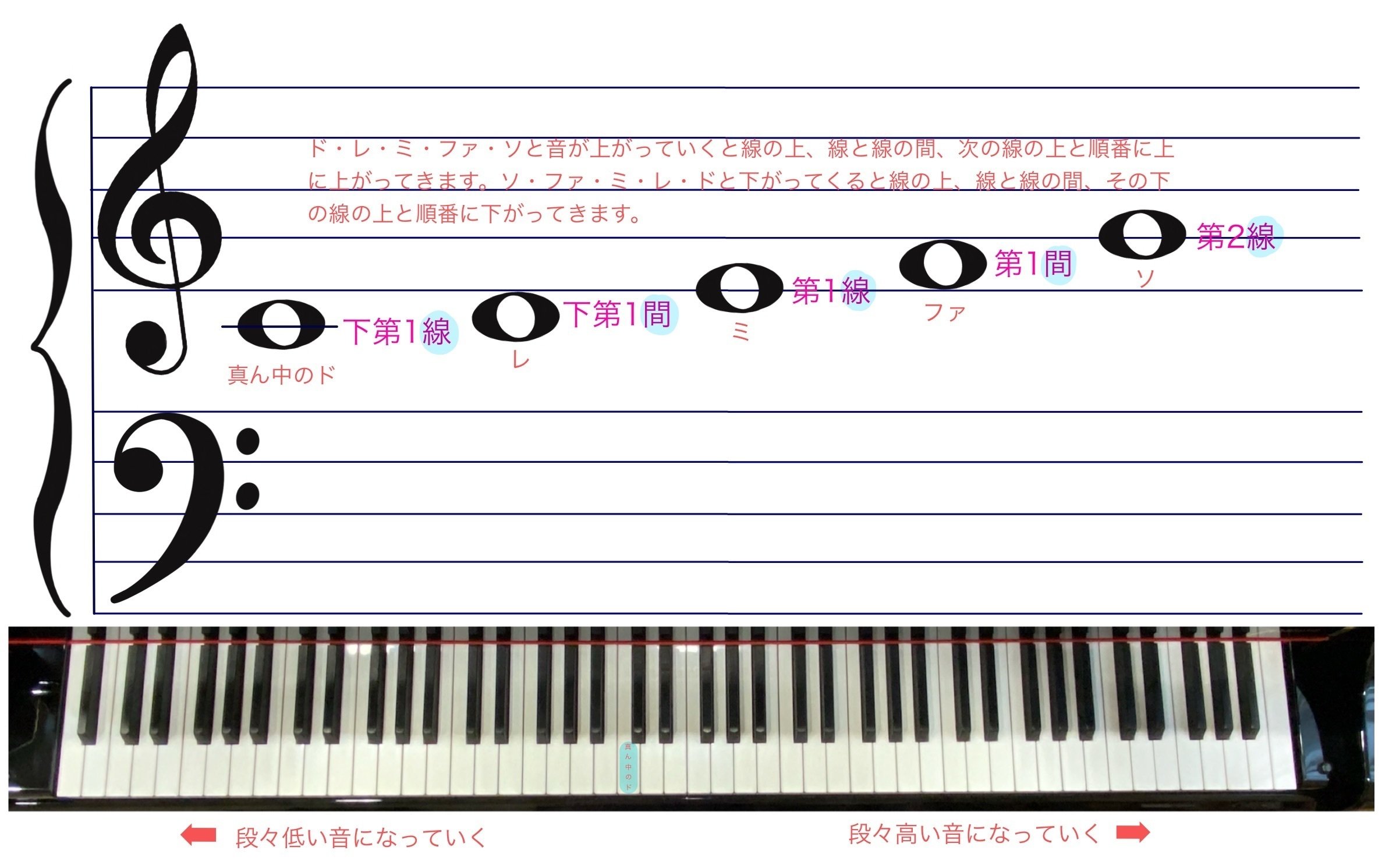 五臓の音符 五臓の音符 気の音楽療法 CD付き (実践講座) | 張 明亮, 峨眉