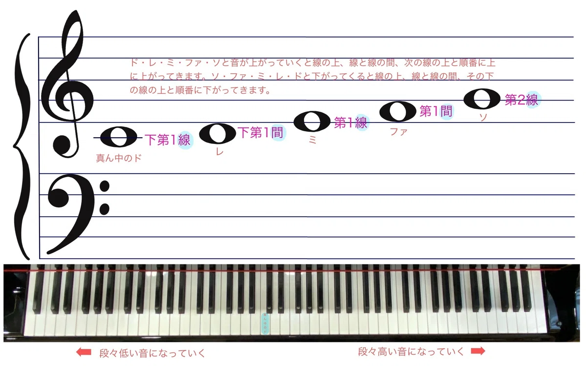 14.楽典のこと✏️】五線と音符と鍵盤図と・・・｜ゆみこ