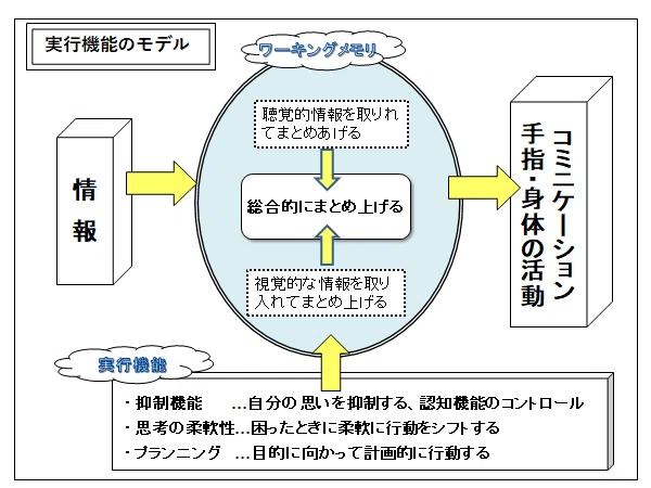Ⅰ「実行機能」は遊びで育つ～理論編～その1｜やまと たける