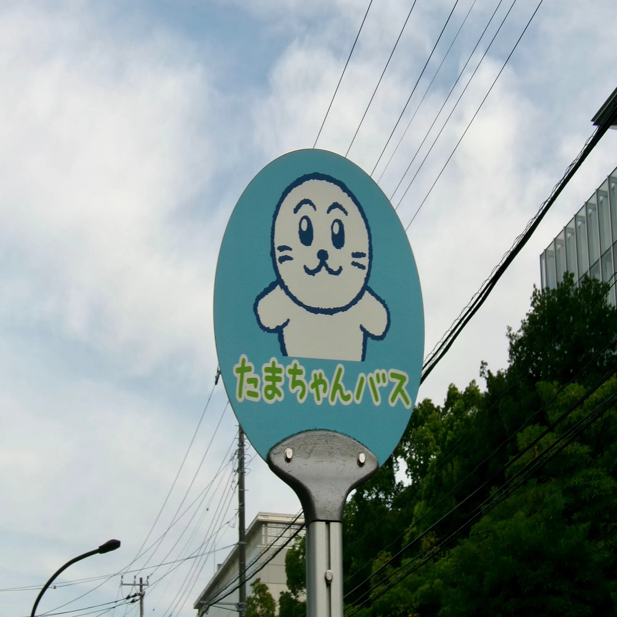 多摩川 たまちゃん 現在