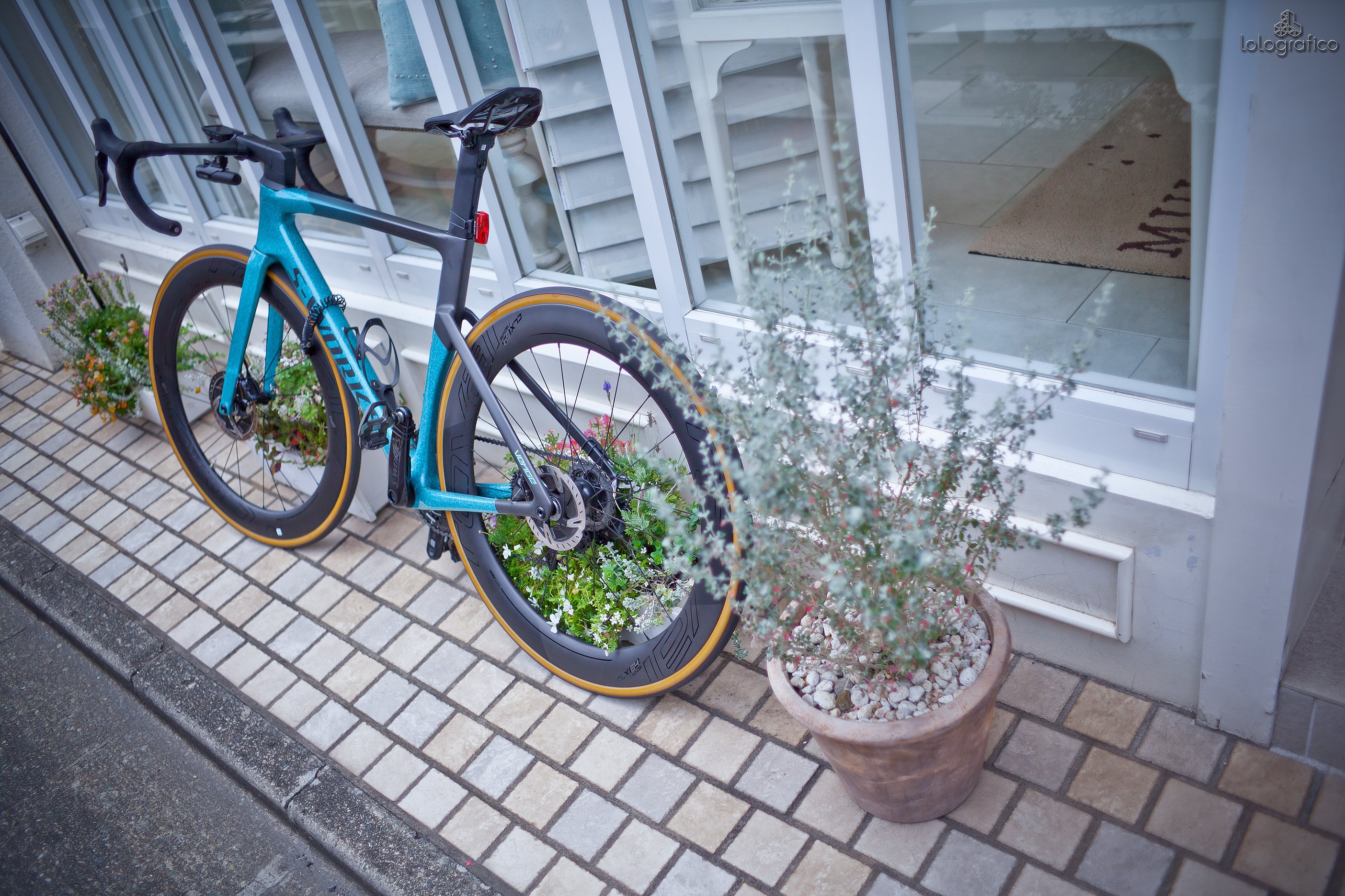 チ ャ リ ン コ 禁 止 。|ろろ チ ャ リ ン コ 禁 止 。|ろろ