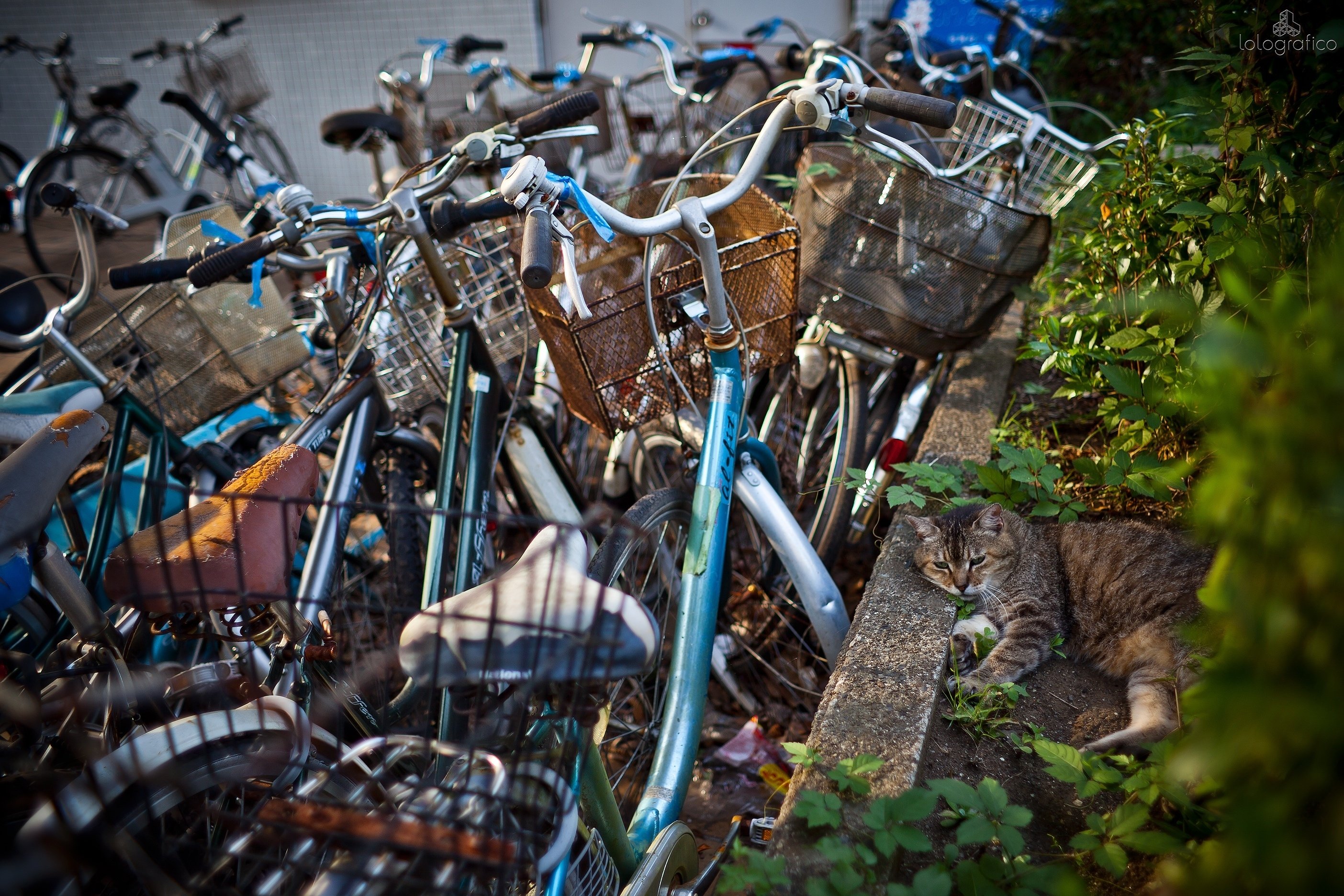 チ ャ リ ン コ 禁 止 。｜ろろ
