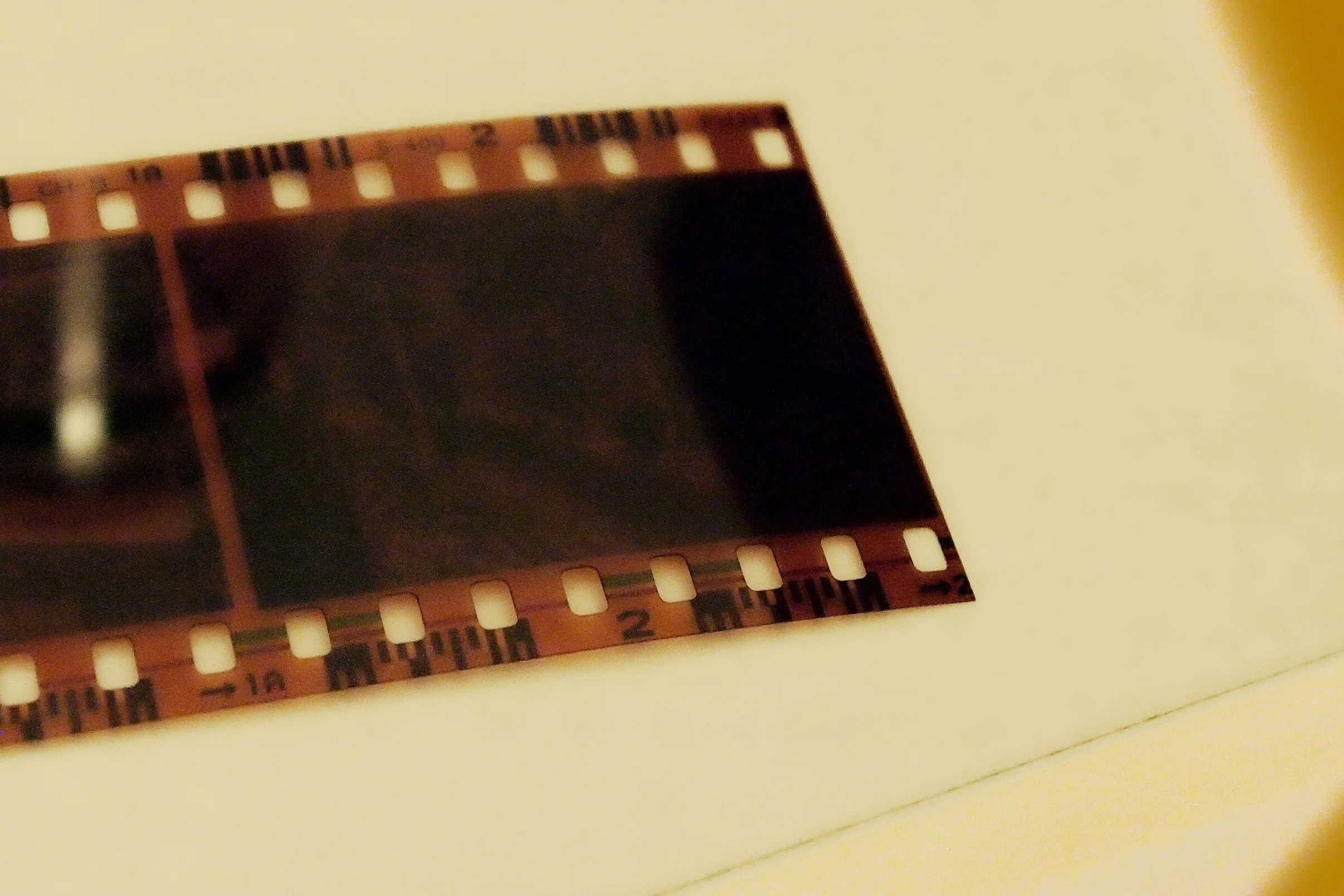す*ー様 希少！キャンディーズ ネガフィルム オマケでフィルムが貰えた時代｜キハ2222