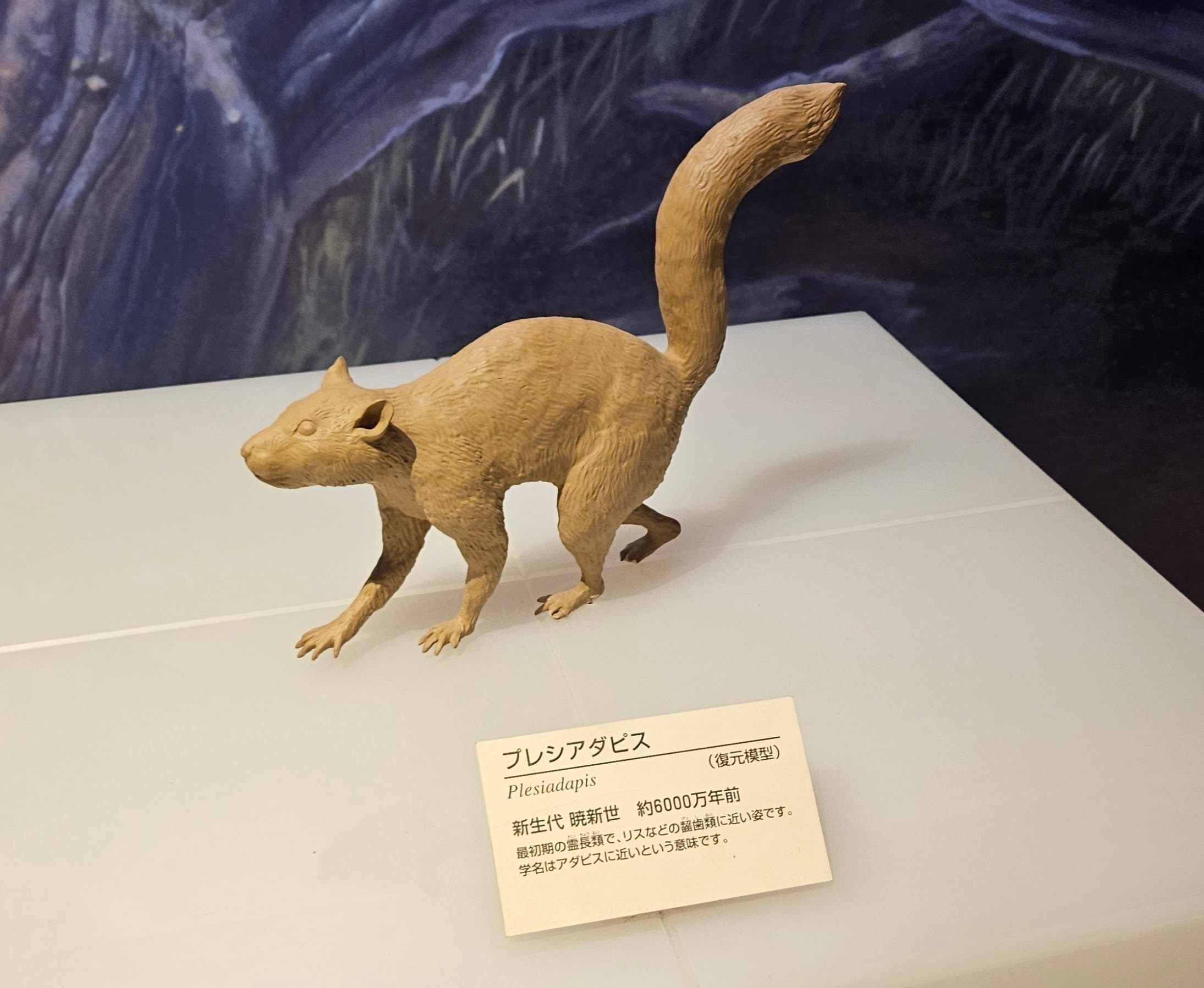 The Lost Universe 古代の巨大霊長類①サルの始まり|美原さつき The Lost Universe 古代の巨大霊長類①サルの始まり|美原さつき