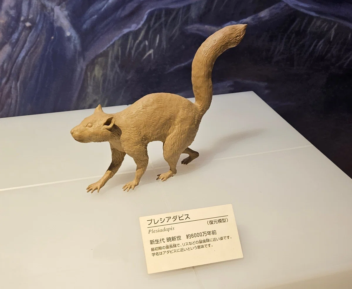 The Lost Universe 古代の巨大霊長類①サルの始まり｜美原さつき