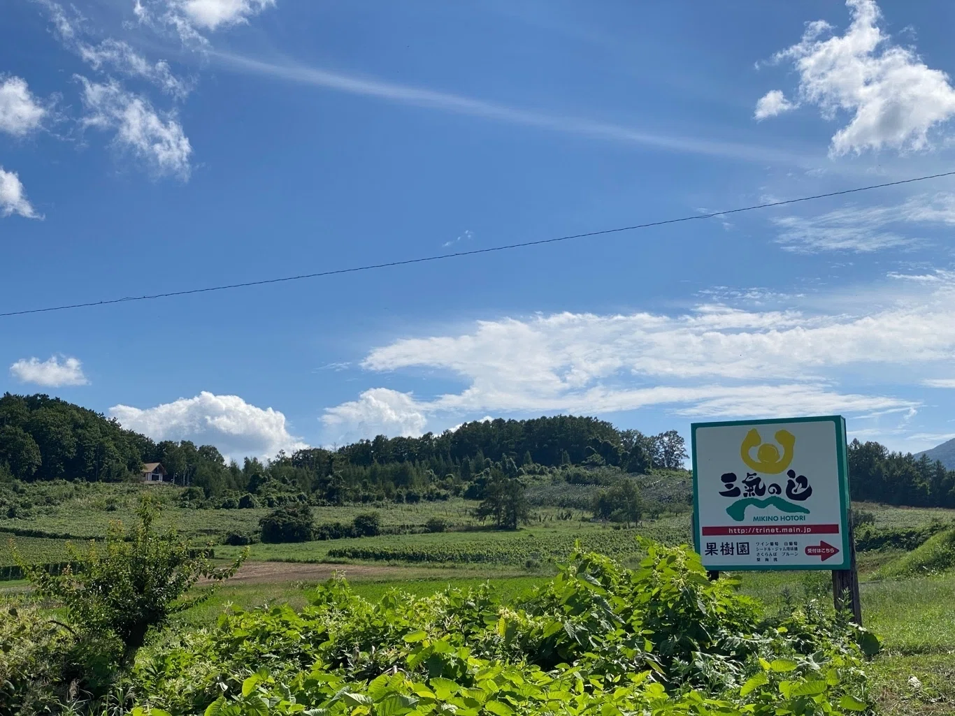 La Fête des Vignerons à YOICHI 2023 （農園開放祭@余市ラフェト