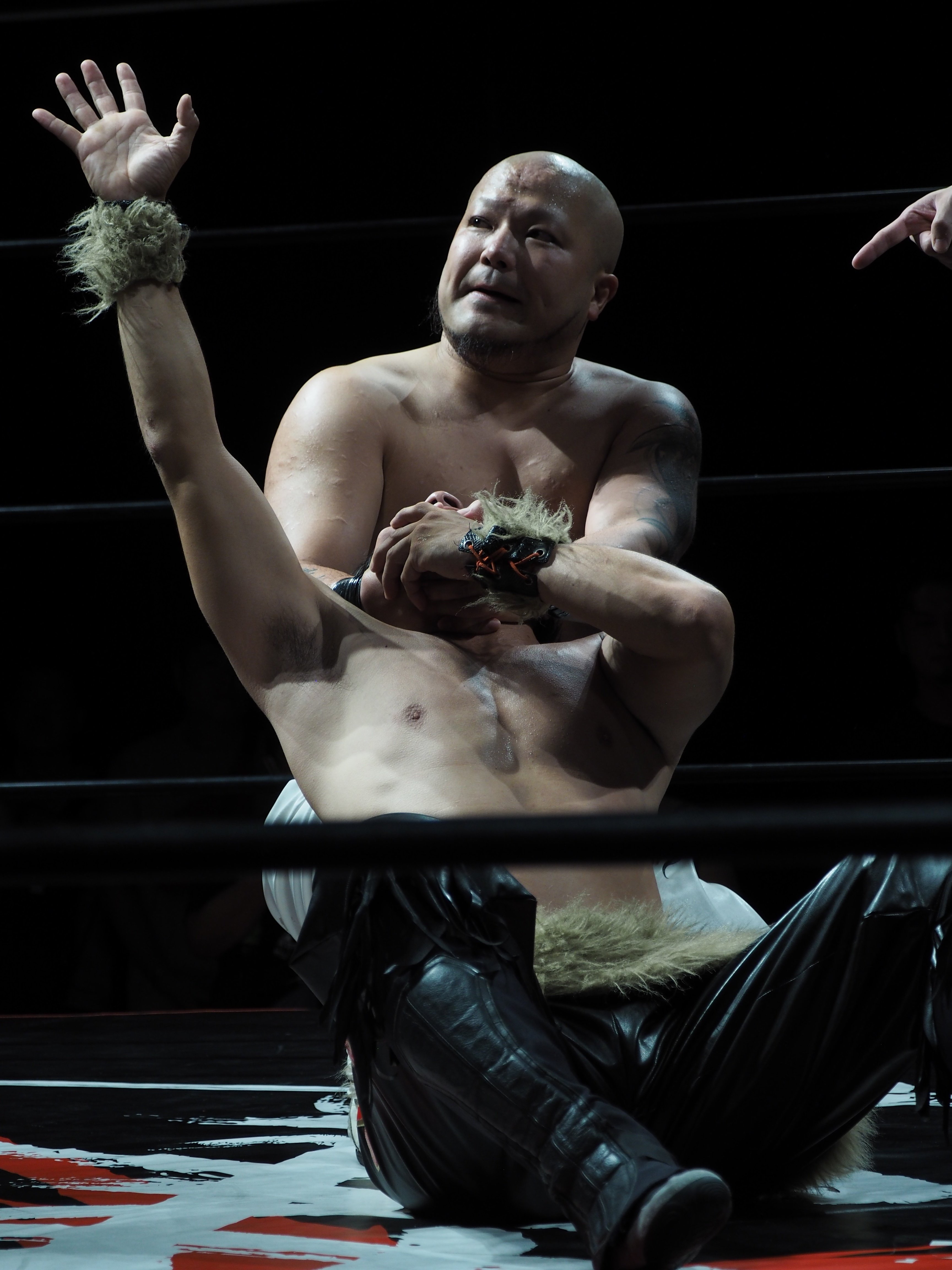 プロレスリングBASARAの『宴』が再開した事について｜レンブラント