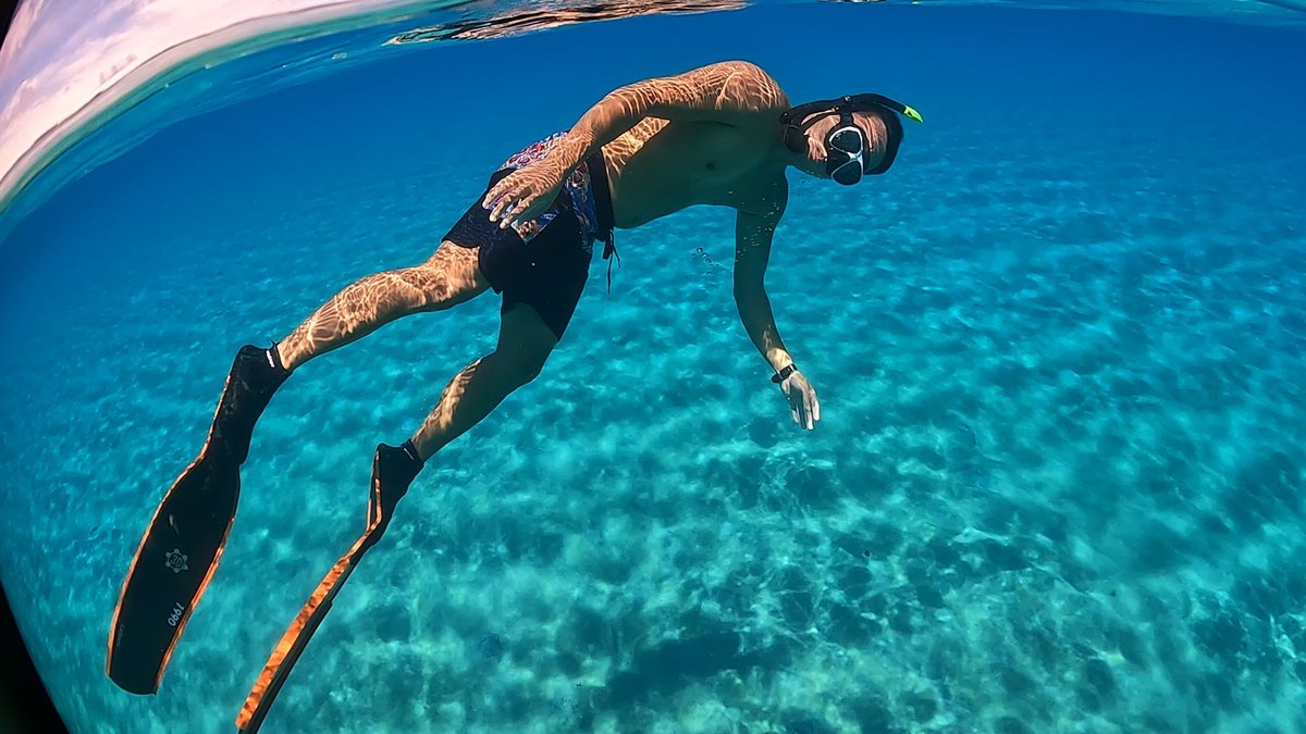 ロングフィン紹介】海外製ロングフィンについて（CARBONIO G.F.T.  