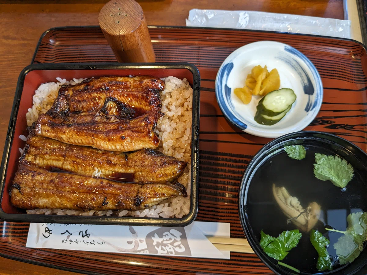 8月〜9月前半 SUPER振り返り日記｜歯蟹