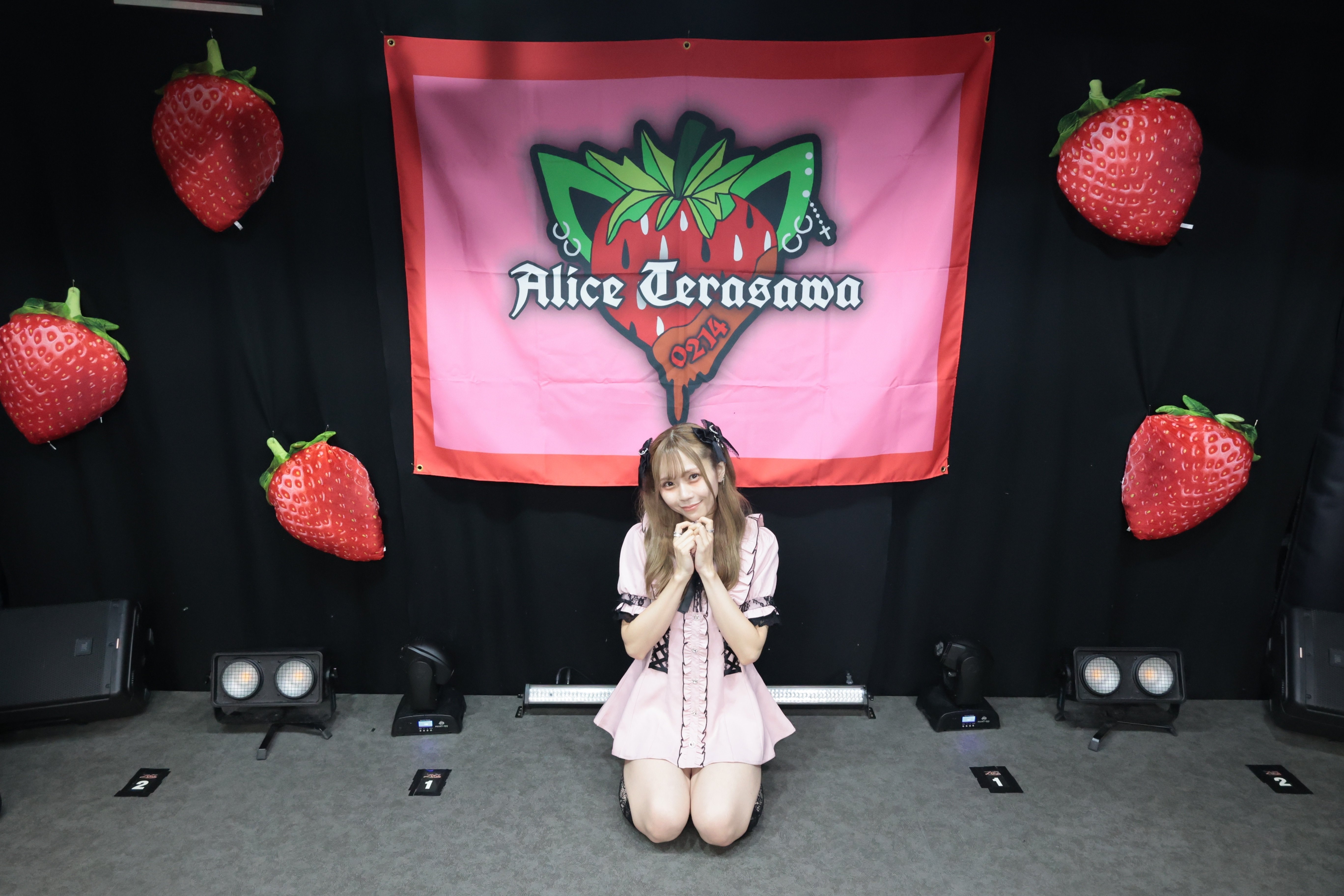 TeraNyai Vol.5〜地雷ありにゃん｜寺沢ありす【瞬きもせず】