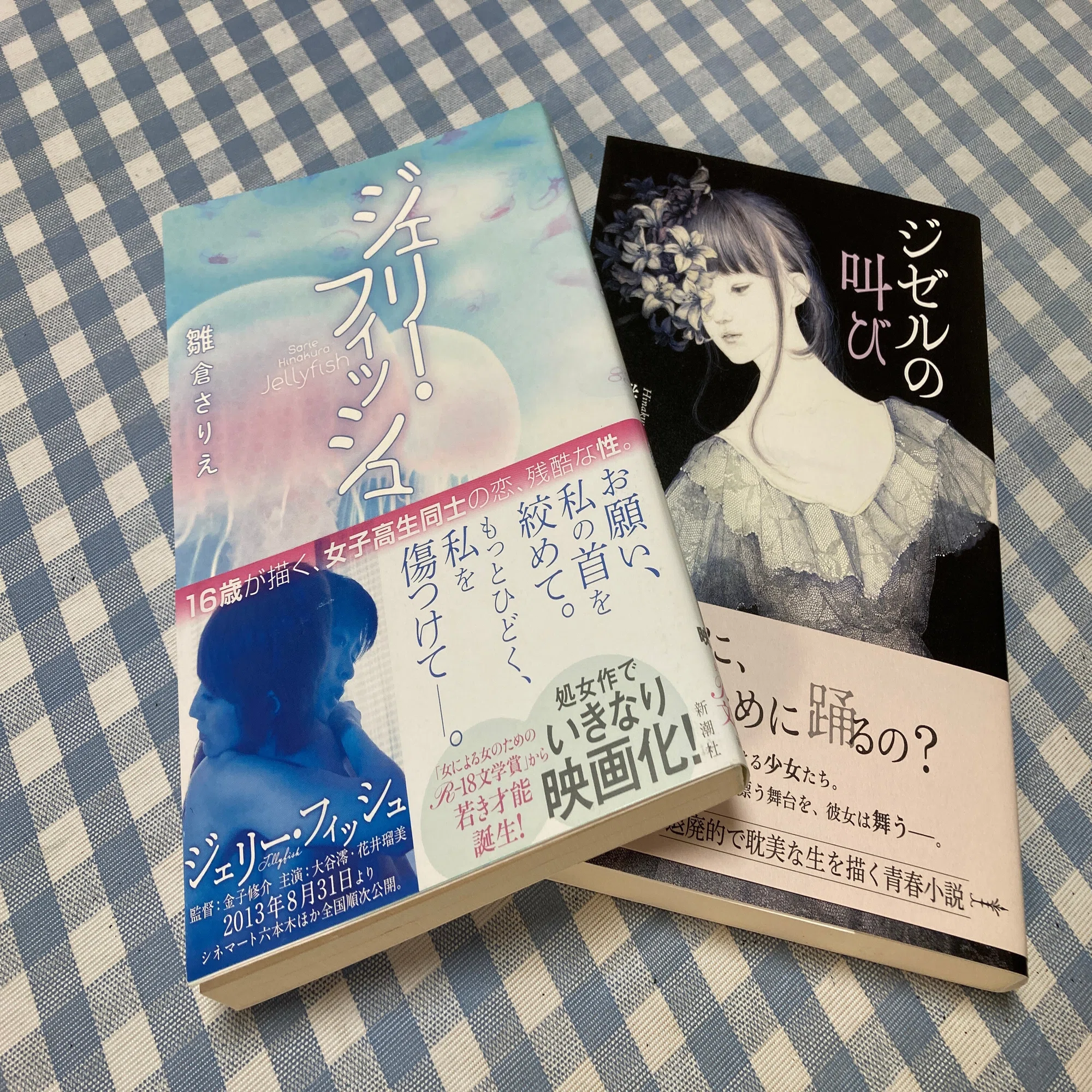 雛倉さりえさんのこと／文学フリマ大阪 熱狂参戦記③｜いぬいゆうた 