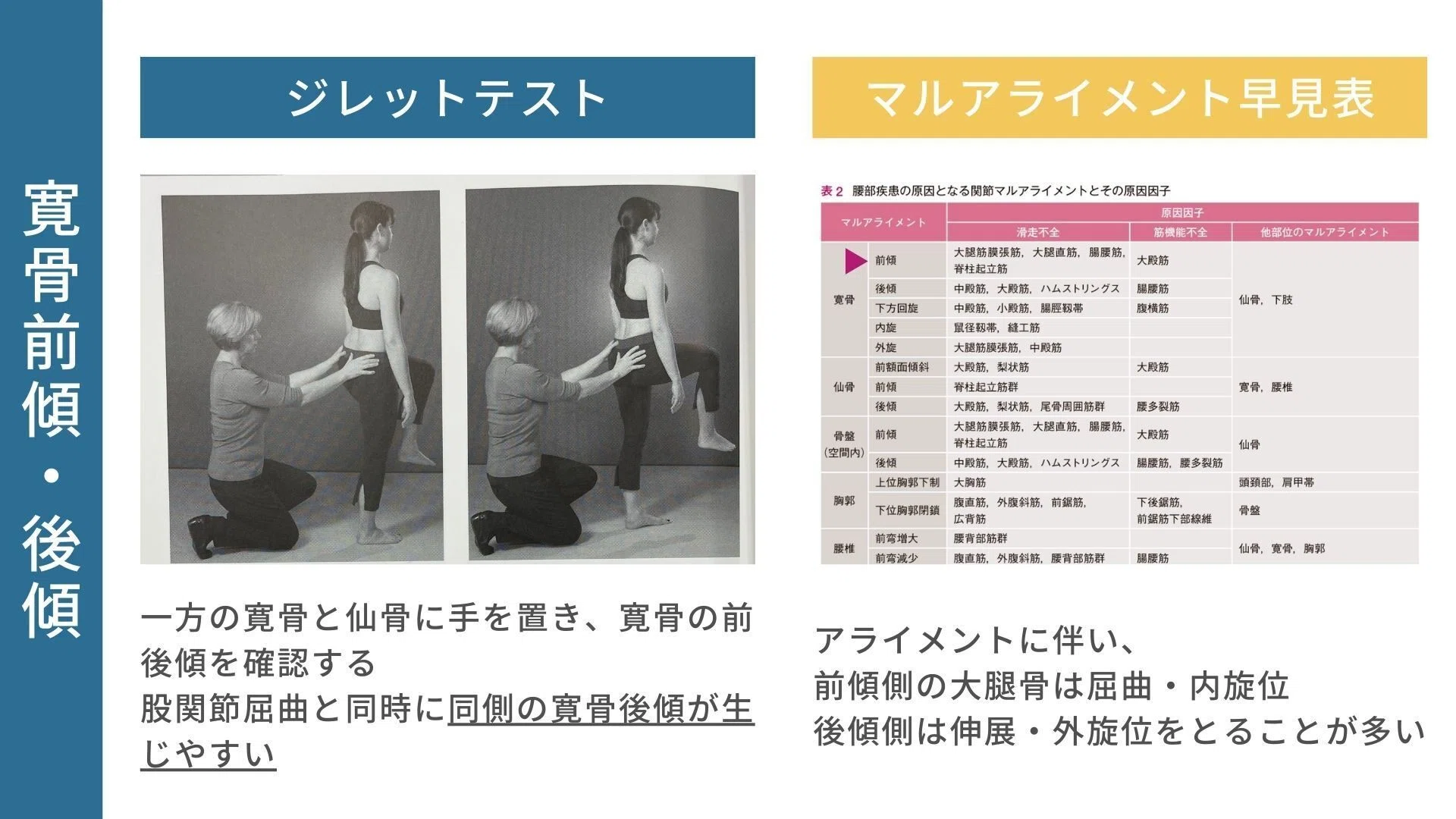 骨盤帯のアライメント評価｜理学療法メモ