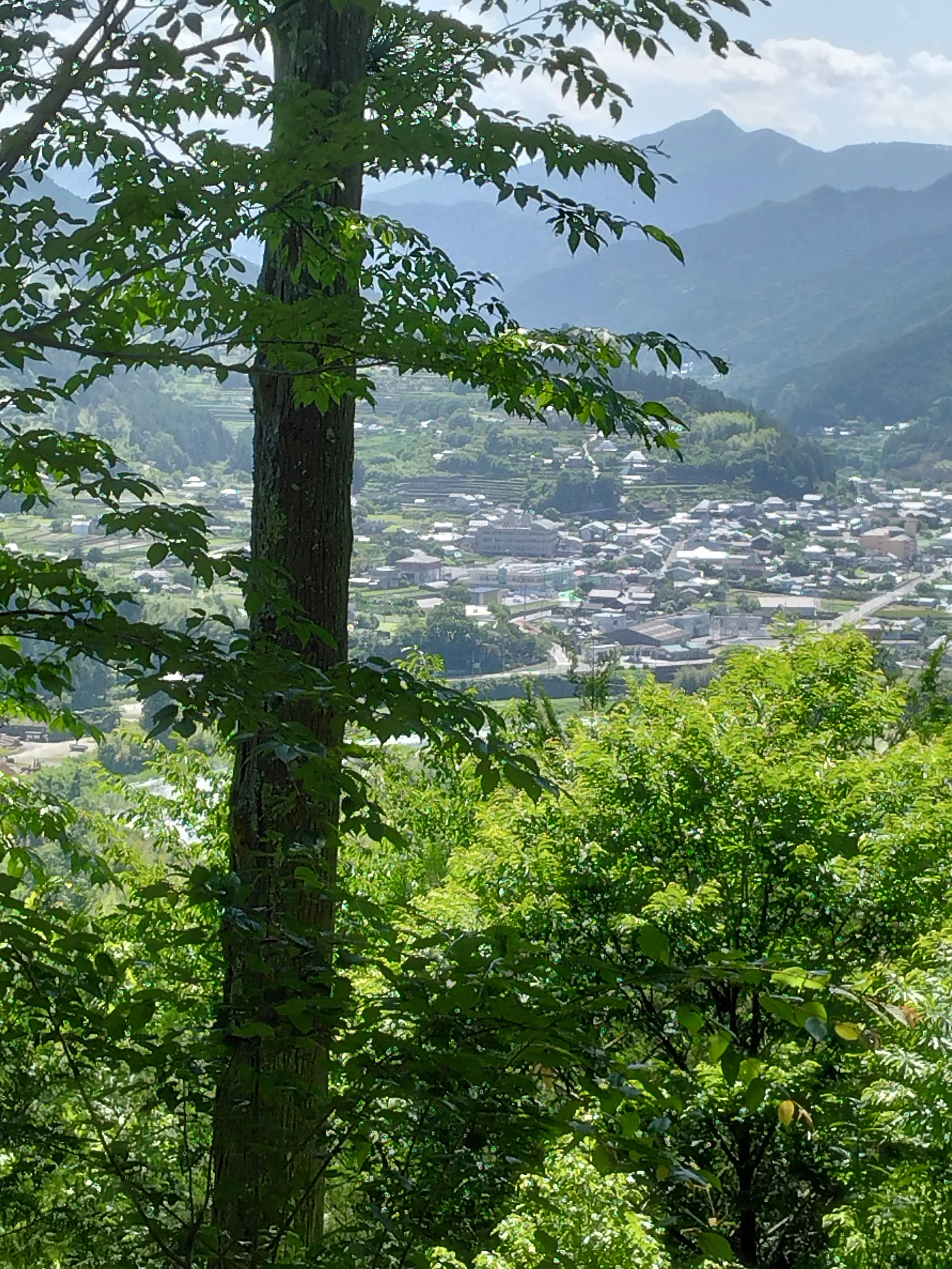 魅力溢れる町神山町｜yuki