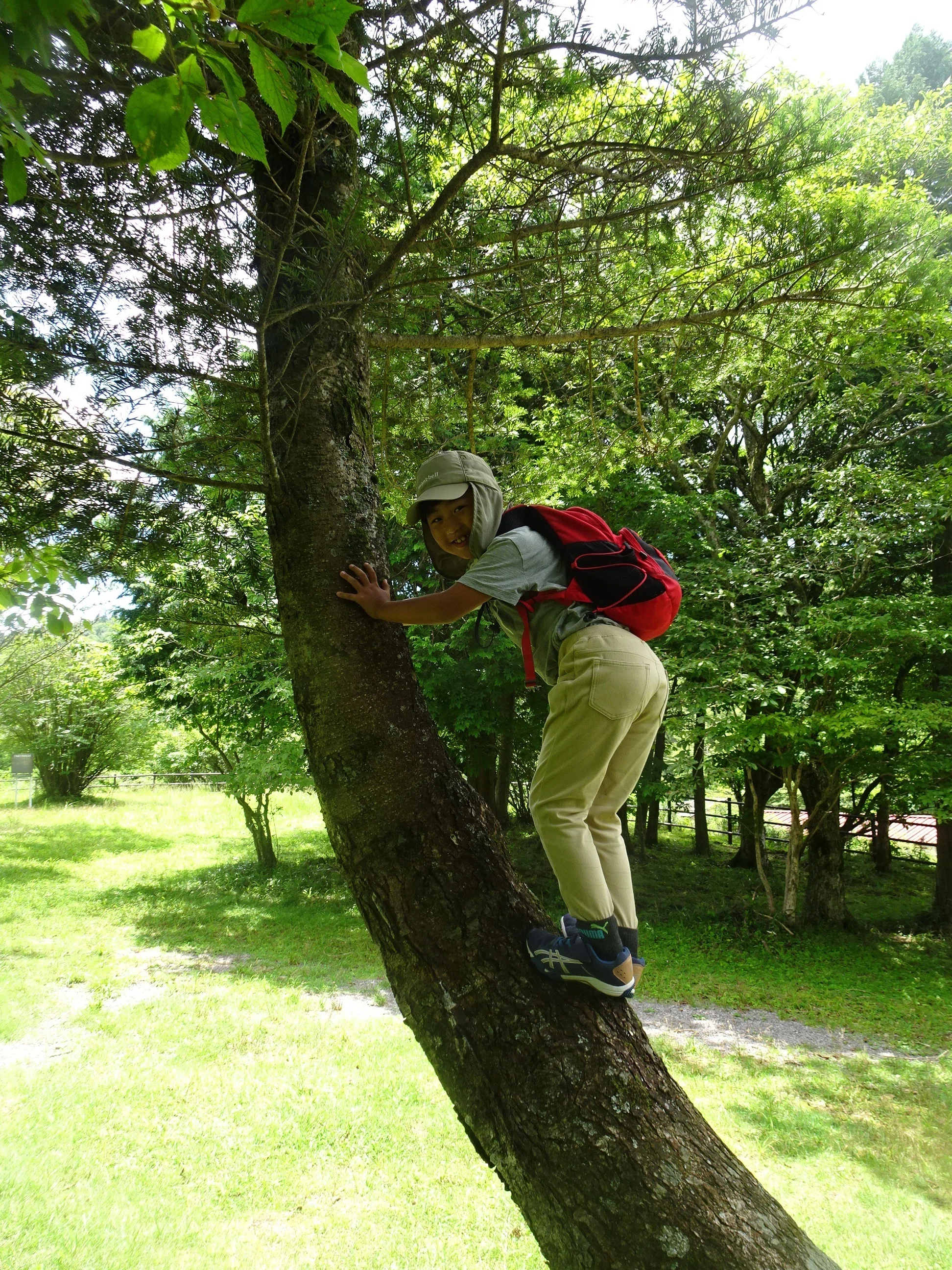 夏の登山 ～面ノ木平・天狗棚～｜森中遊助