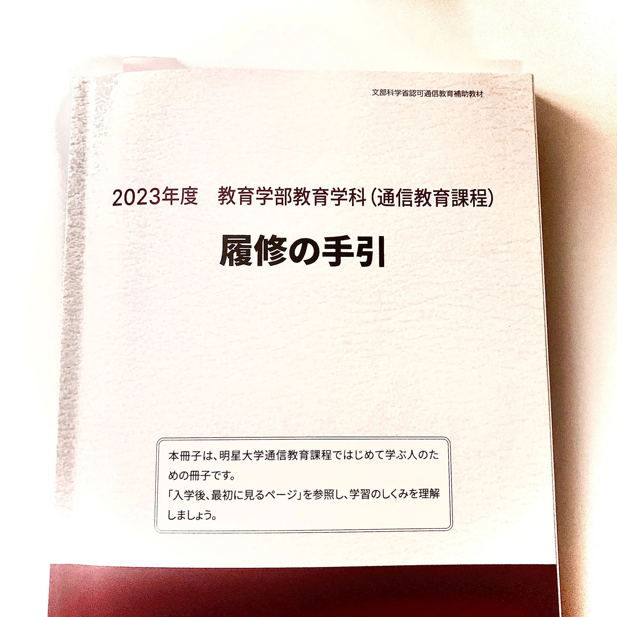 明星大学 入学費用を公開！｜ばっつもさっちも?