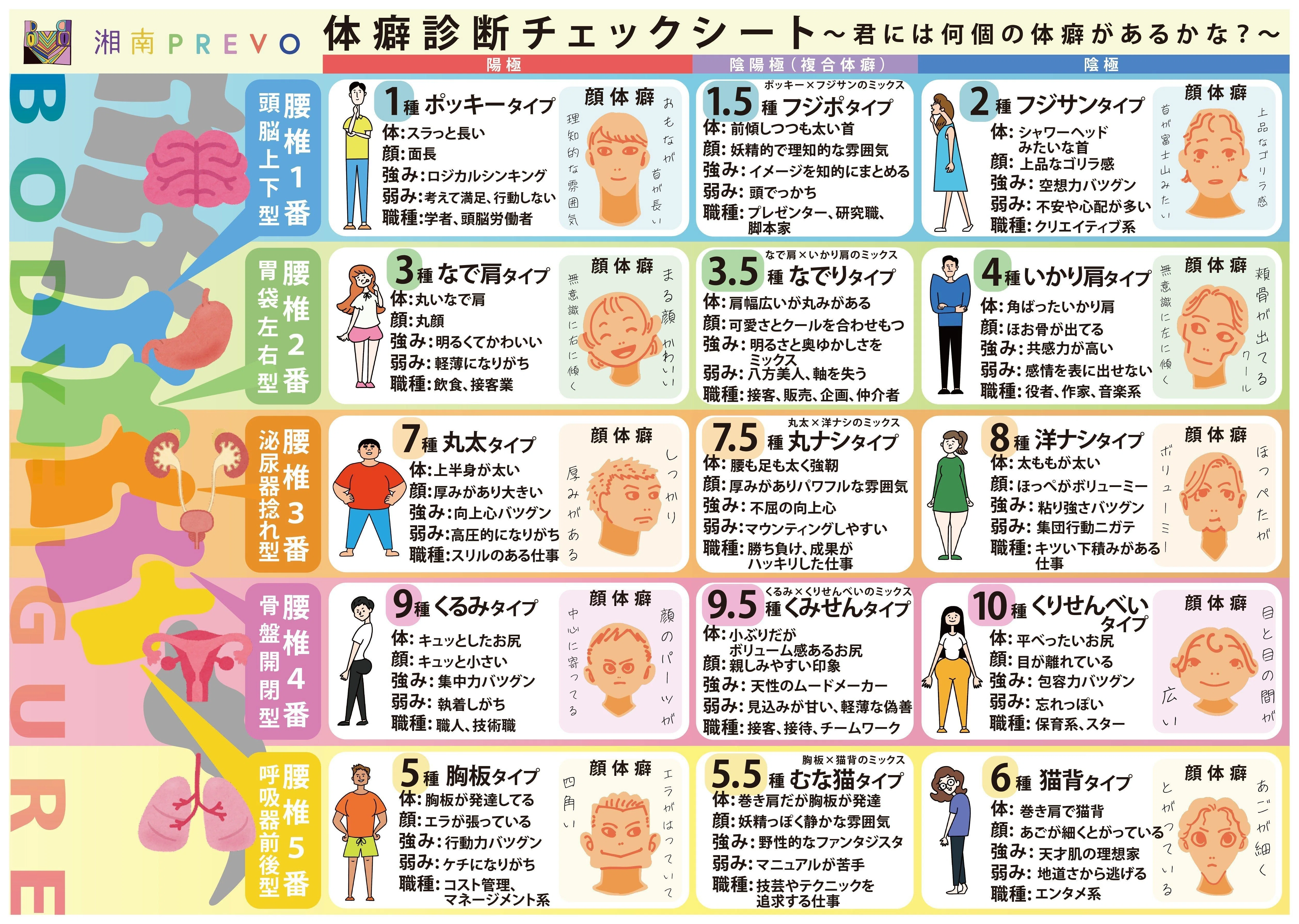 どこよりも詳しく】体癖 7 種“丸太” タイプまるまるレポート【解説