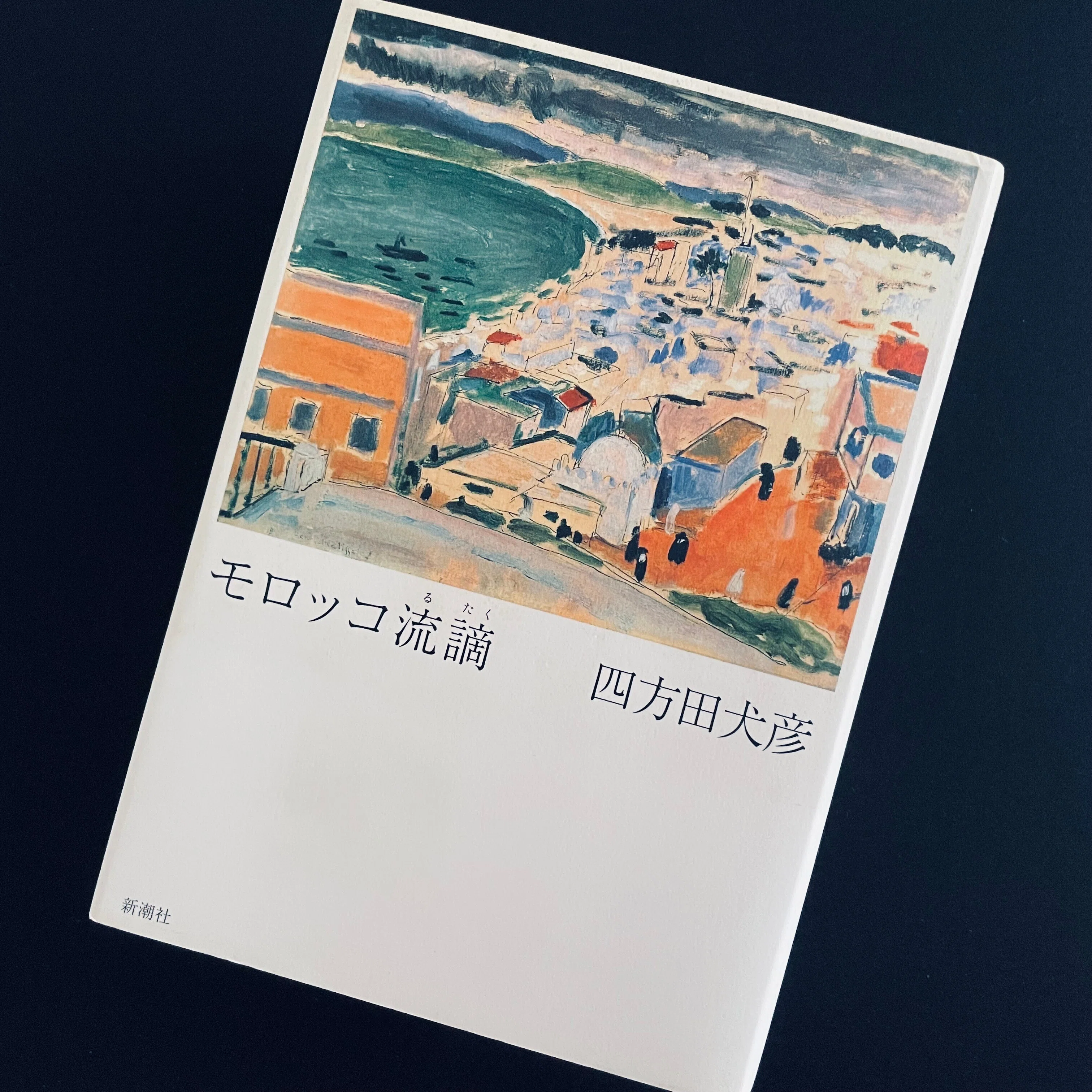 四方田犬彦『モロッコ流謫』｜既視の海