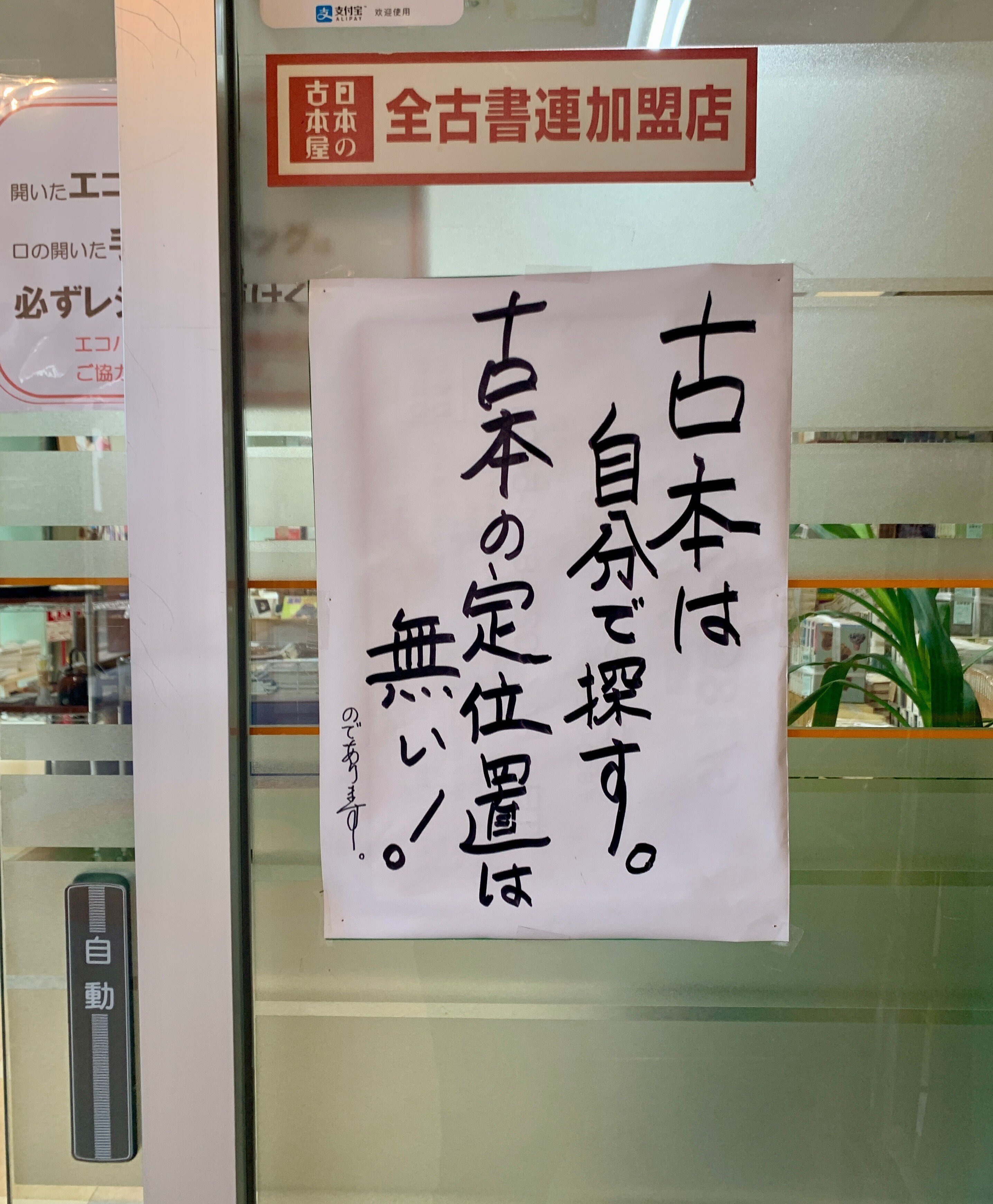無鉄砲なオトナふたりの、ただ事じゃない土曜日｜銀河のハルカ