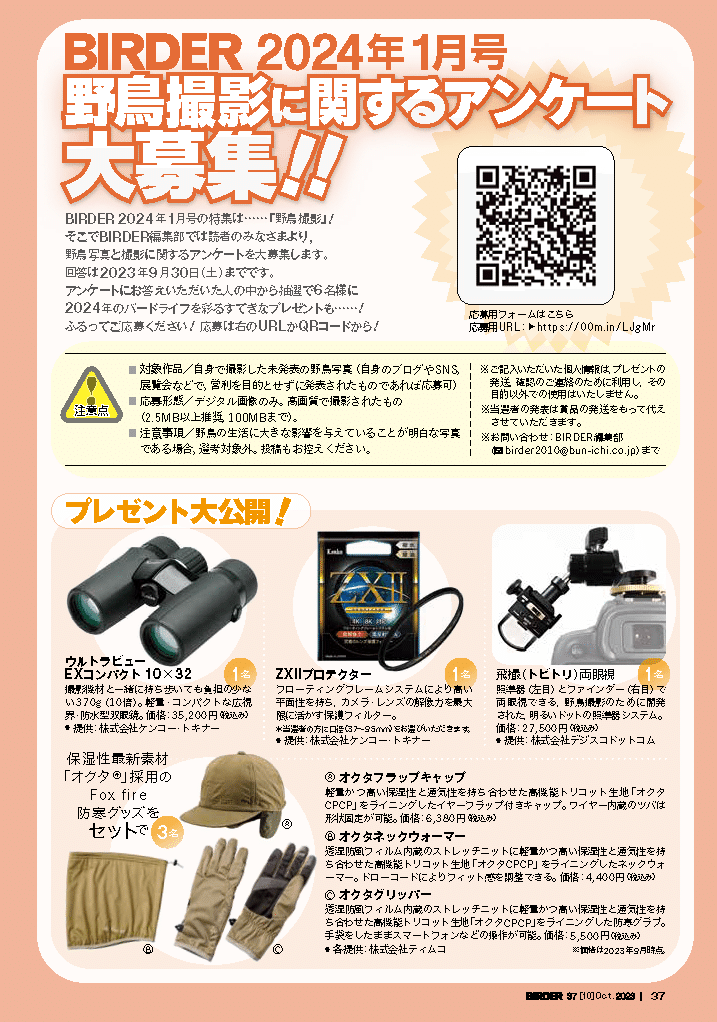 初版 霞流一 火の鶏 ハルキノベルス 奇跡鑑定人 初版 霞流一 火の鶏 ハルキノベルス 奇跡鑑定人 - メルカリ