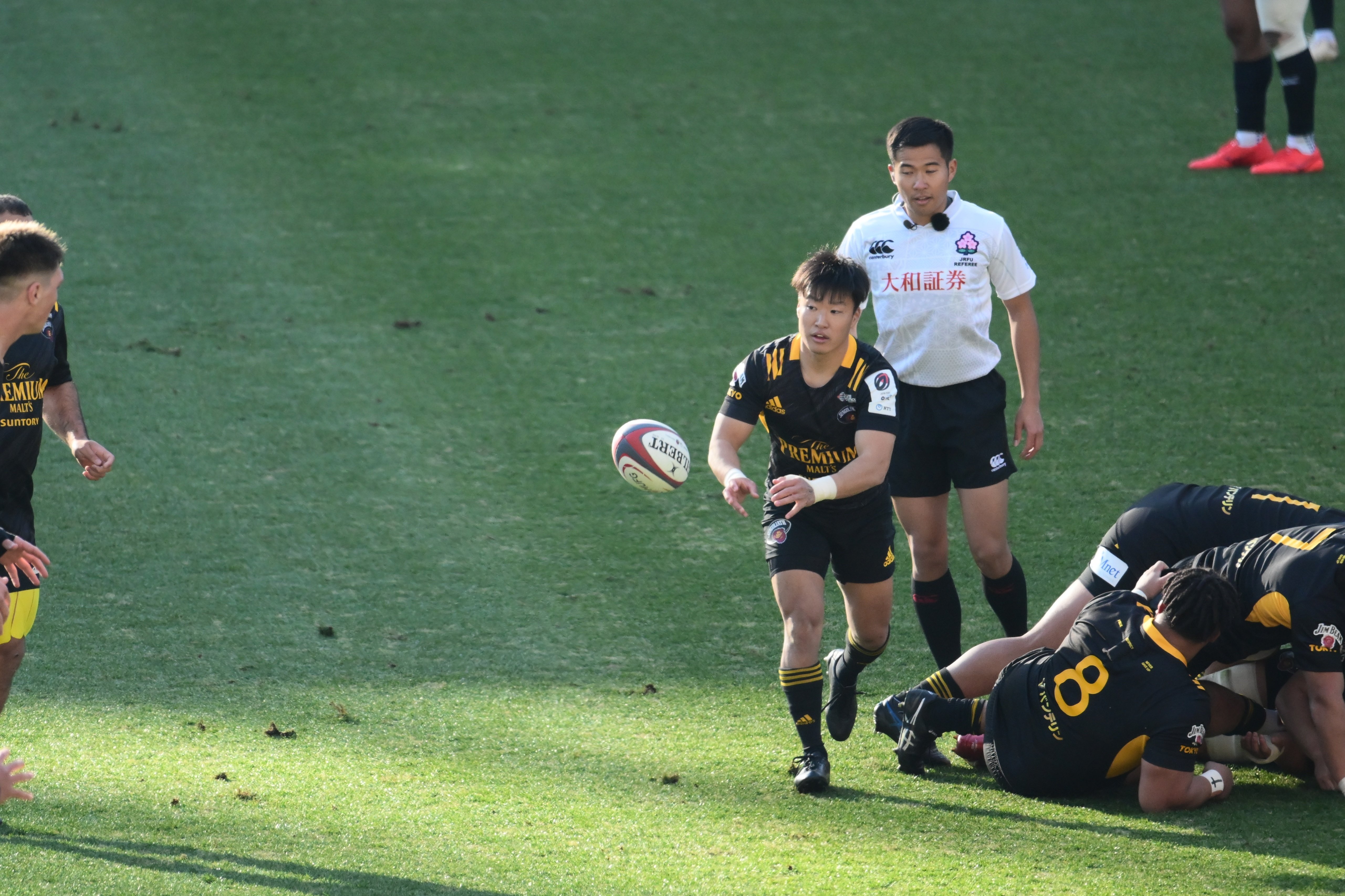 スクラムハーフ RWC2023】注目選手 スクラムハーフ（SH）編｜みきしの(ShinoMiki)