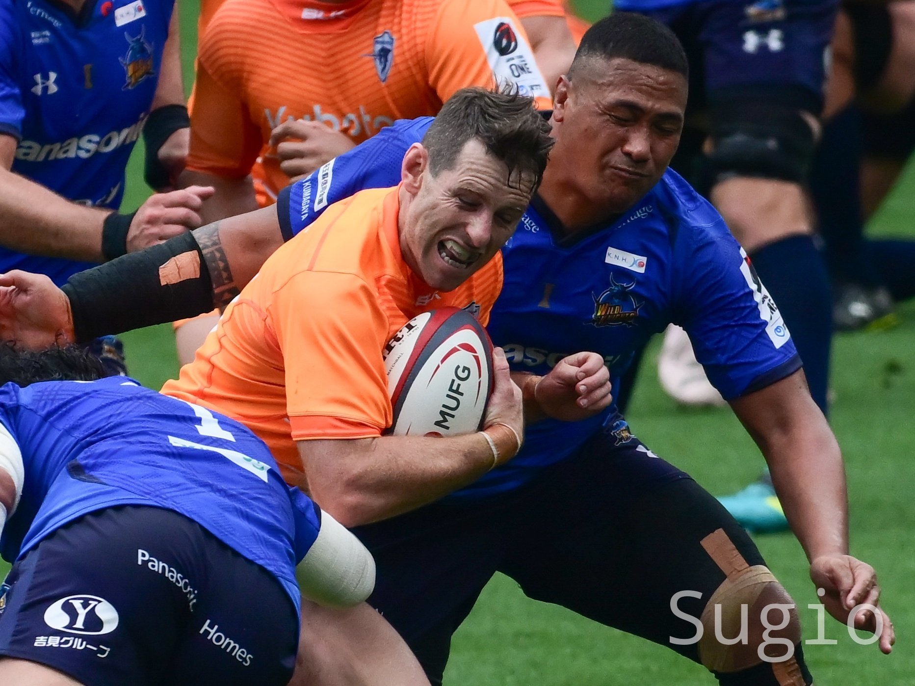 スクラムハーフ RWC2023】注目選手 スクラムハーフ（SH）編｜みきしの(ShinoMiki)