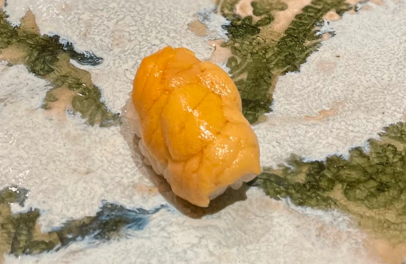 雲丹の研究|梅木 雄平