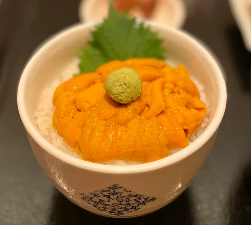 雲丹の研究|梅木 雄平