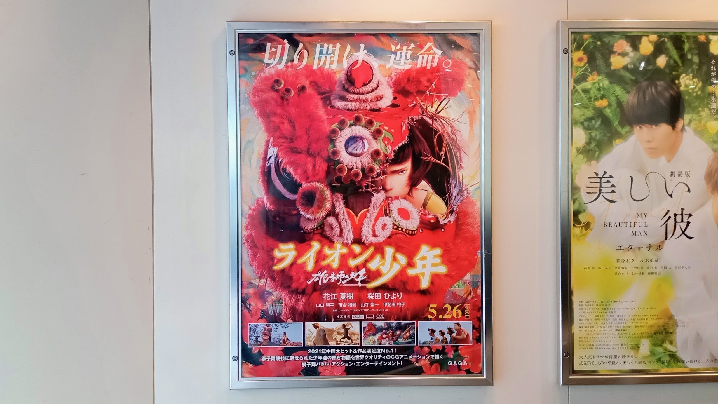 広末涼子 入手困難 ポスター4種類 【公式通販】