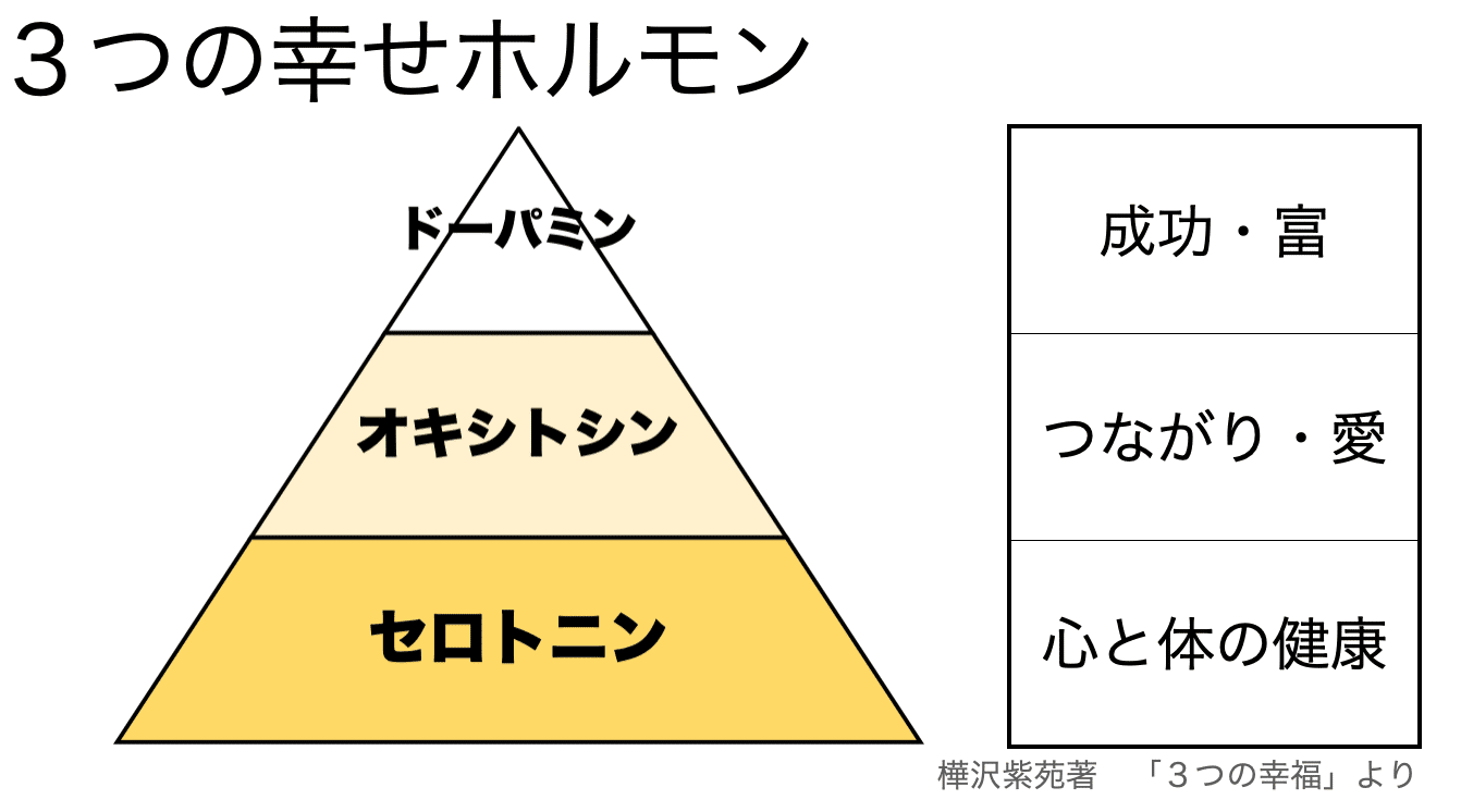 早起きして日の出を浴びる効用 幸せホルモン「セロトニン」たち｜間﨑 泰光(まざきやすみつ)