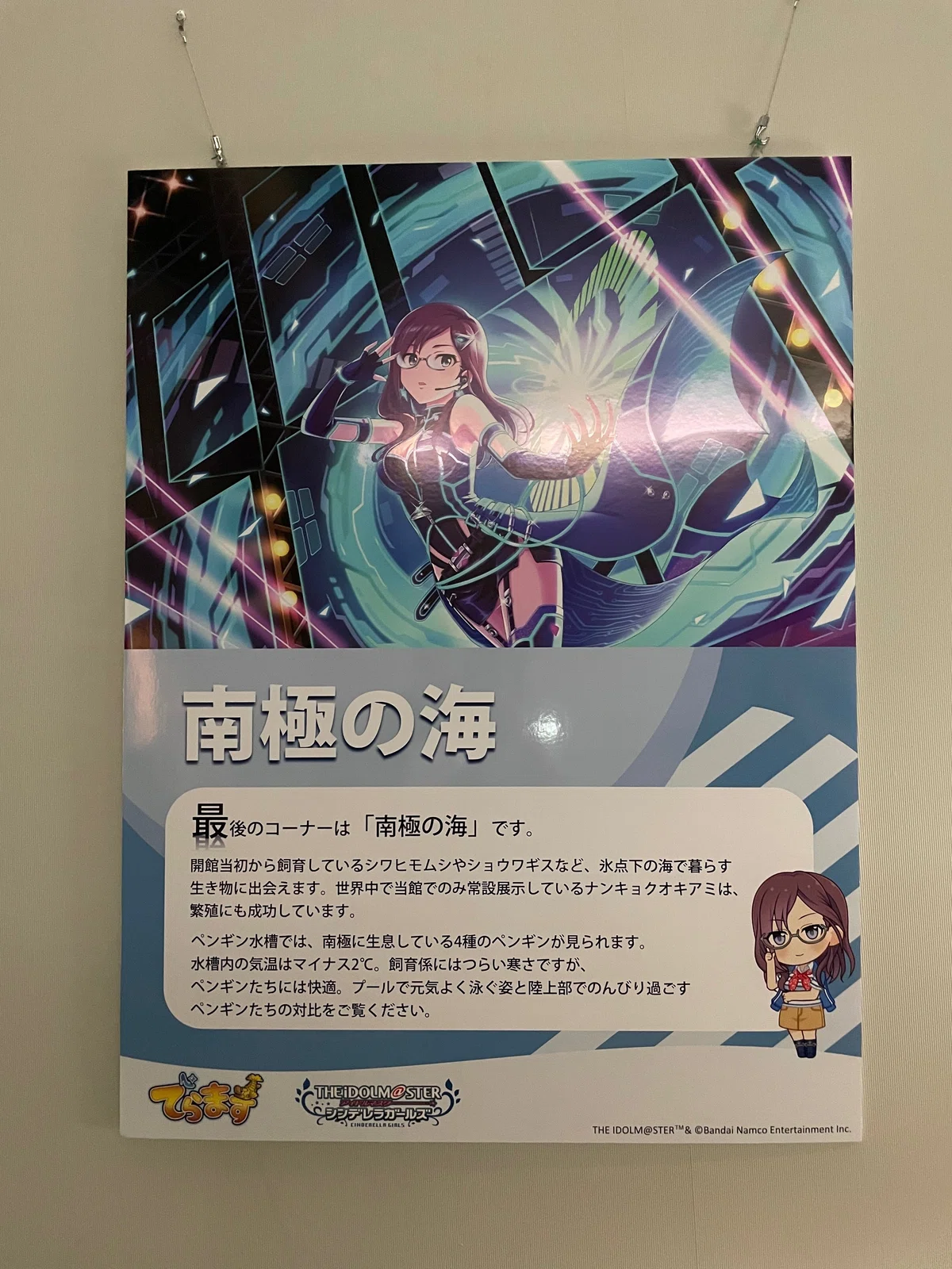 THE IDOLM@STER CINDERELLA GIRLS Shout out Live!!! に参加してきた話 