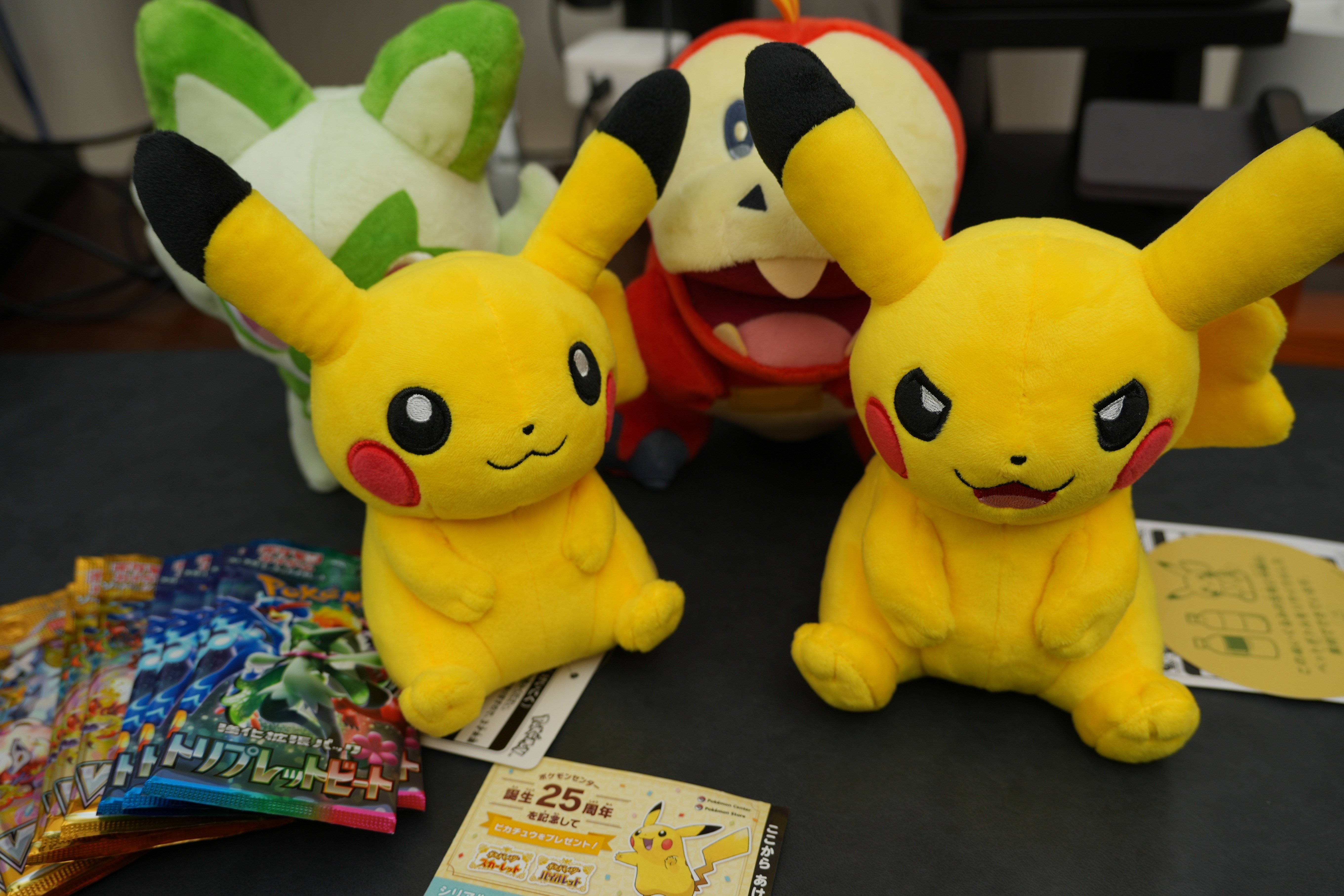 購入ログ】ぬいぐるみ My PIKACHUとポケモンカード｜物欲名古屋人