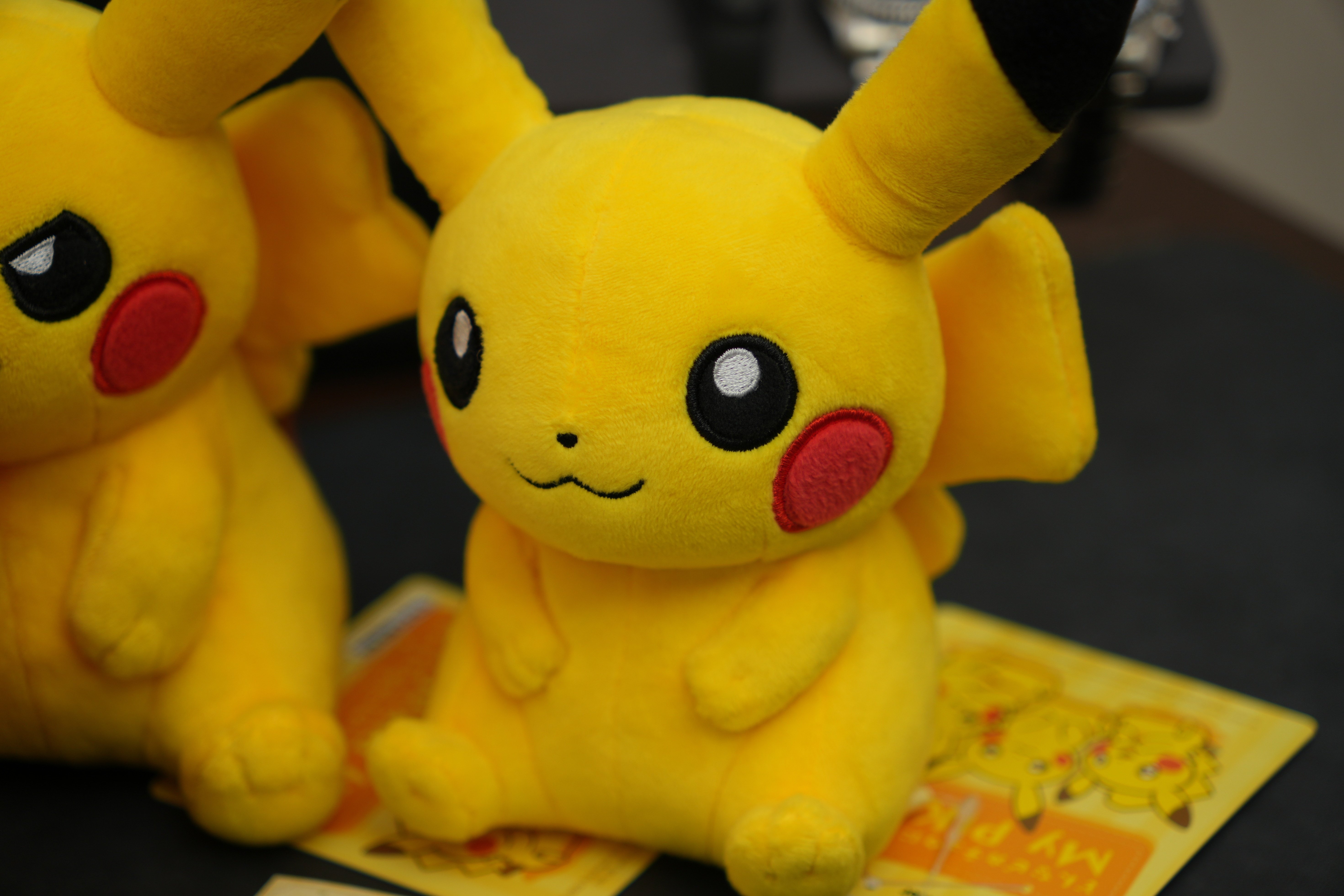 購入ログ】ぬいぐるみ My PIKACHUとポケモンカード｜物欲名古屋人