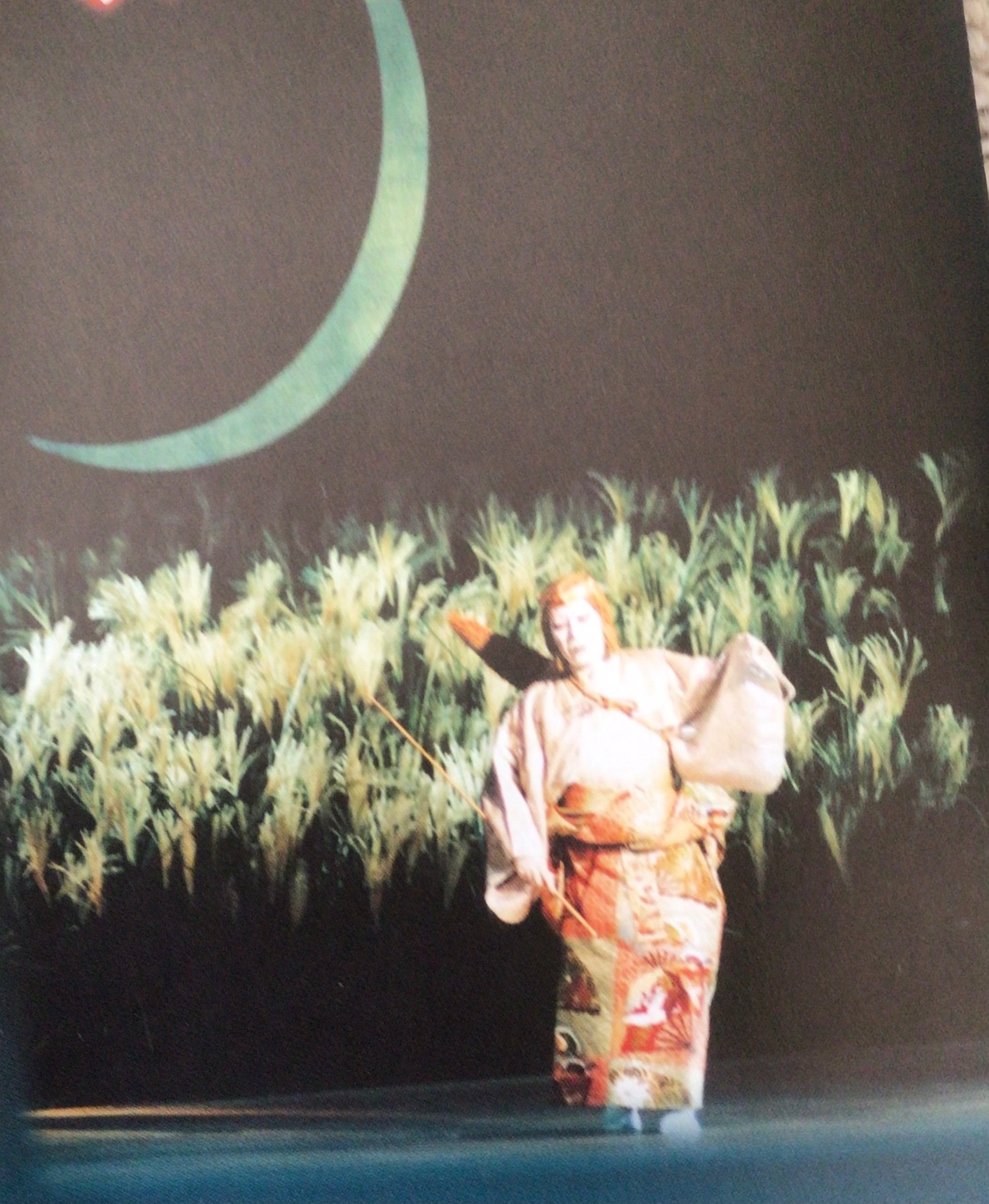 嗚呼 三代目市川猿之助｜丹羽敬忠